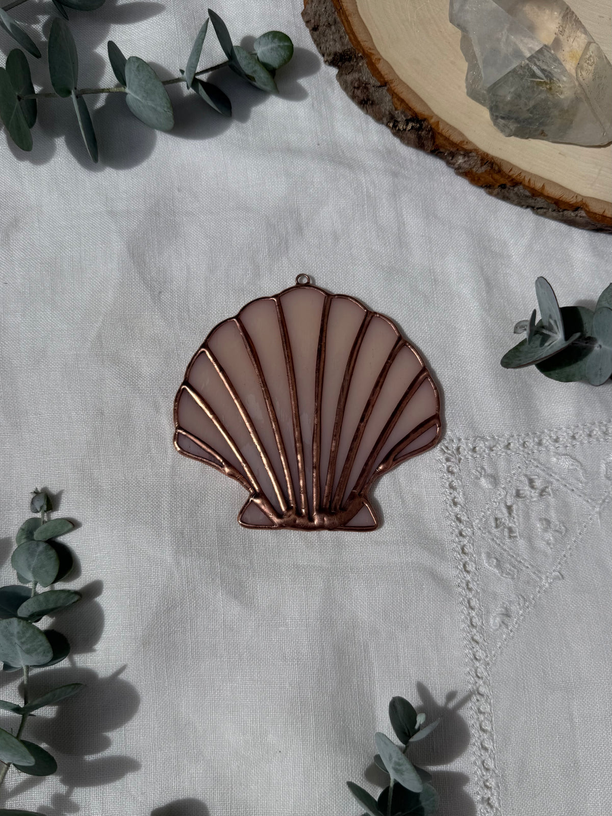 Pale Pink Scallop Shell