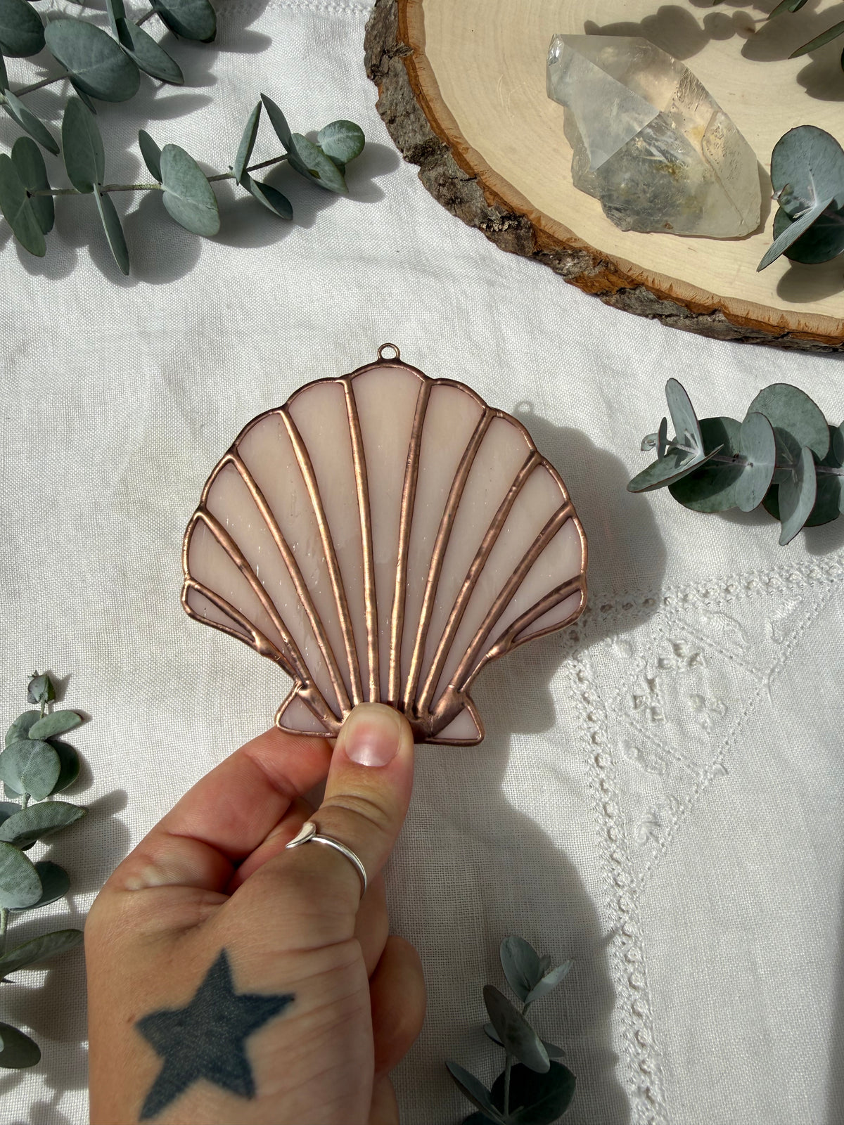 Pale Pink Scallop Shell