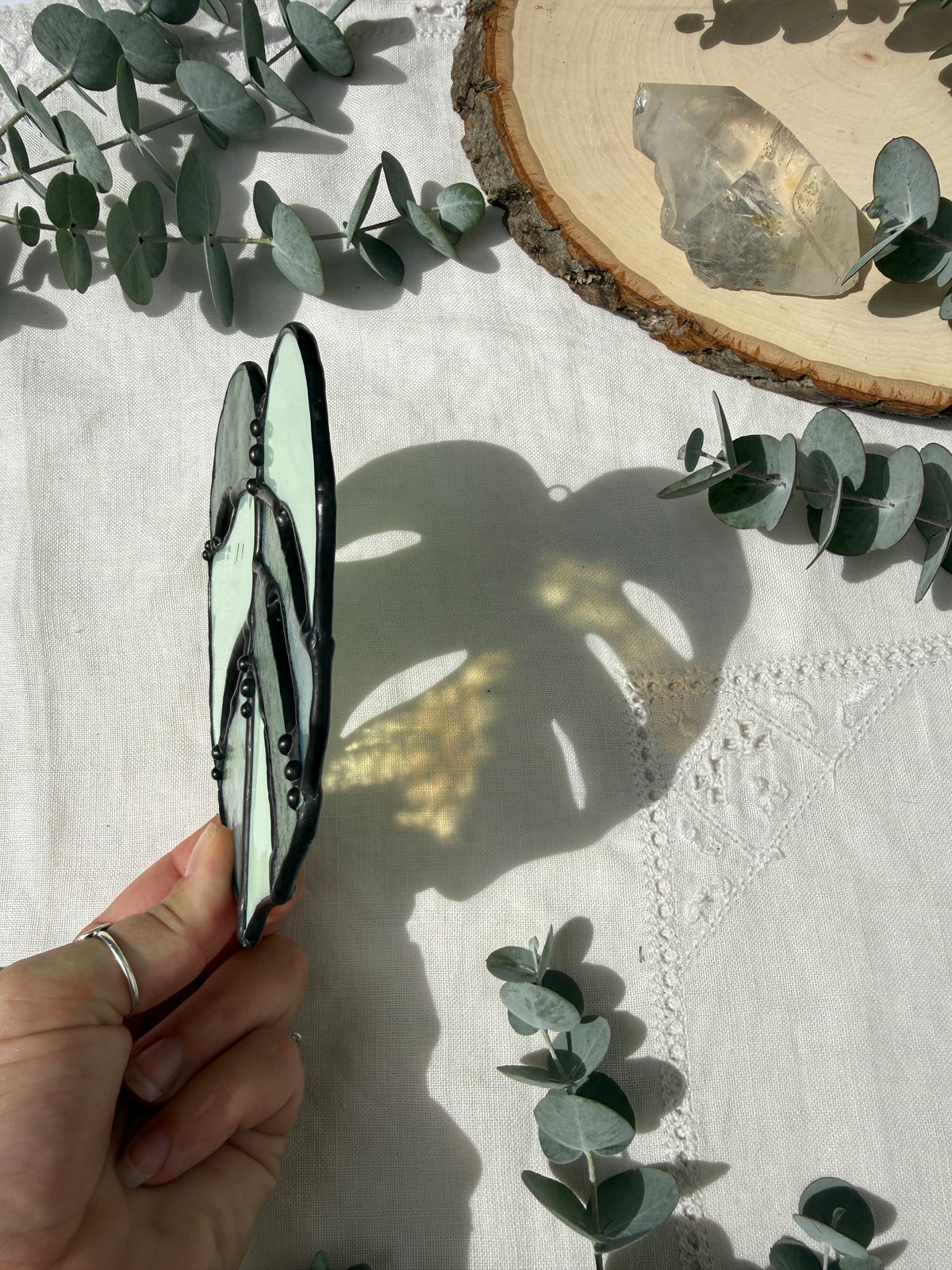 Multi-Green Monstera