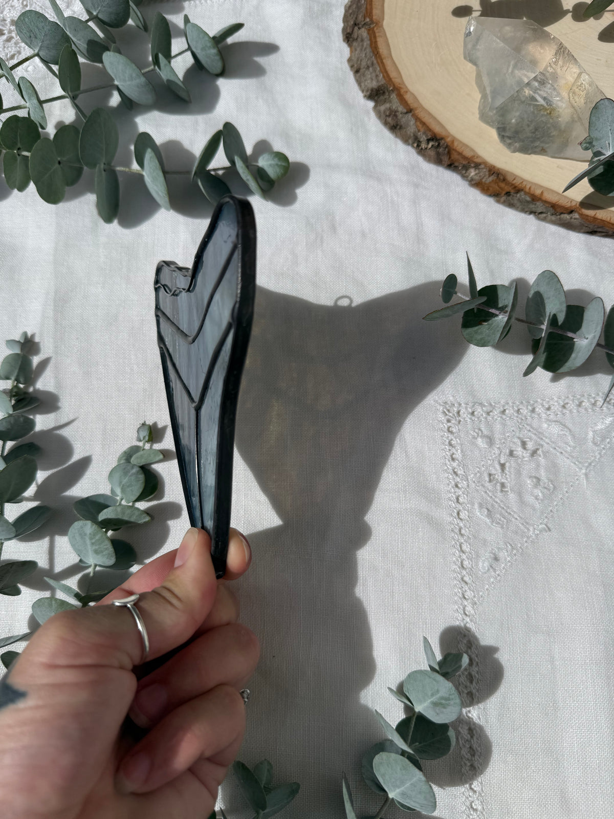 Megalodon Shark Tooth