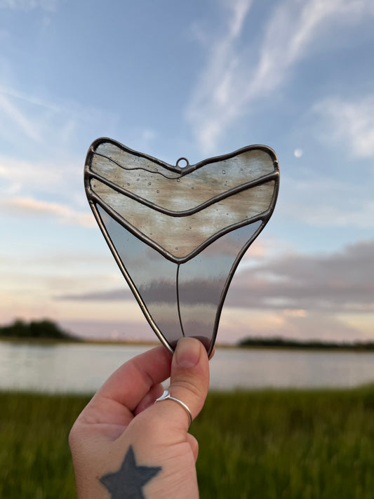Megalodon Shark Tooth
