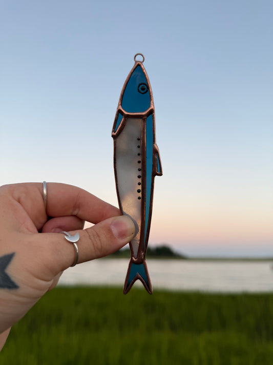 Steel Blue Sardine