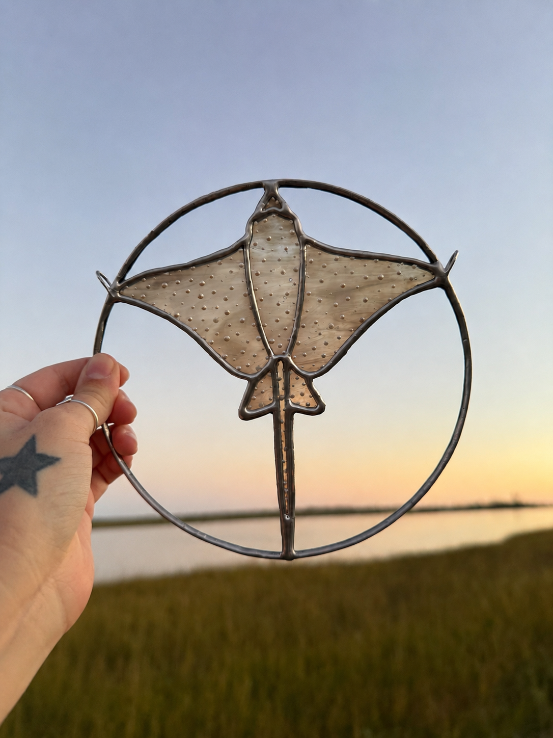 Stained Glass Eagle Ray Workshop