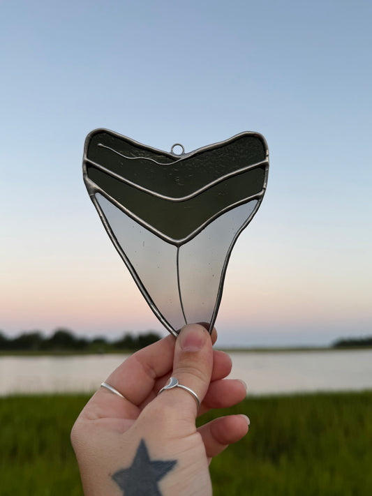 Megalodon Shark Tooth