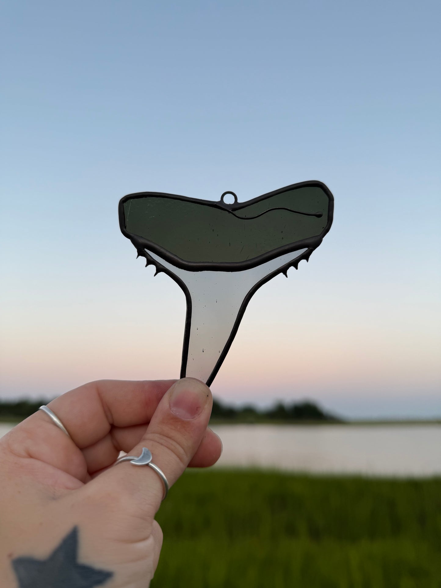 Black Tip Shark Tooth