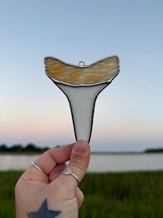 Mako Shark Tooth