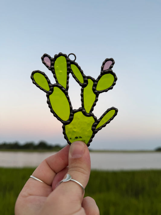Prickly Pear Cactus