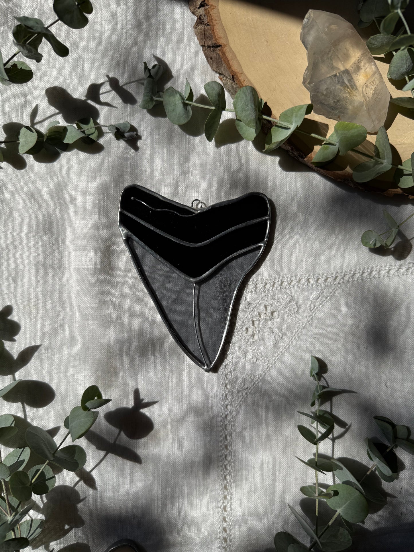 Megalodon Shark Tooth