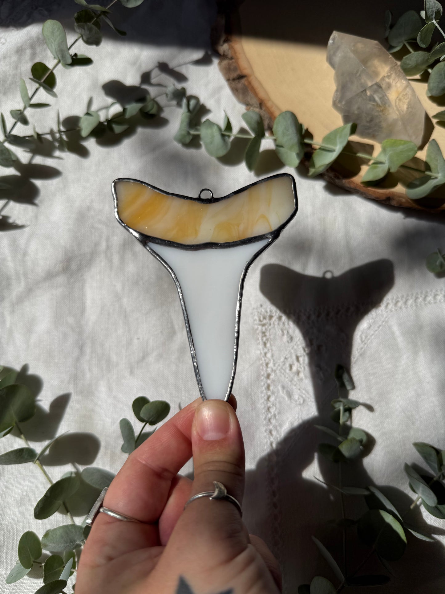 Mako Shark Tooth