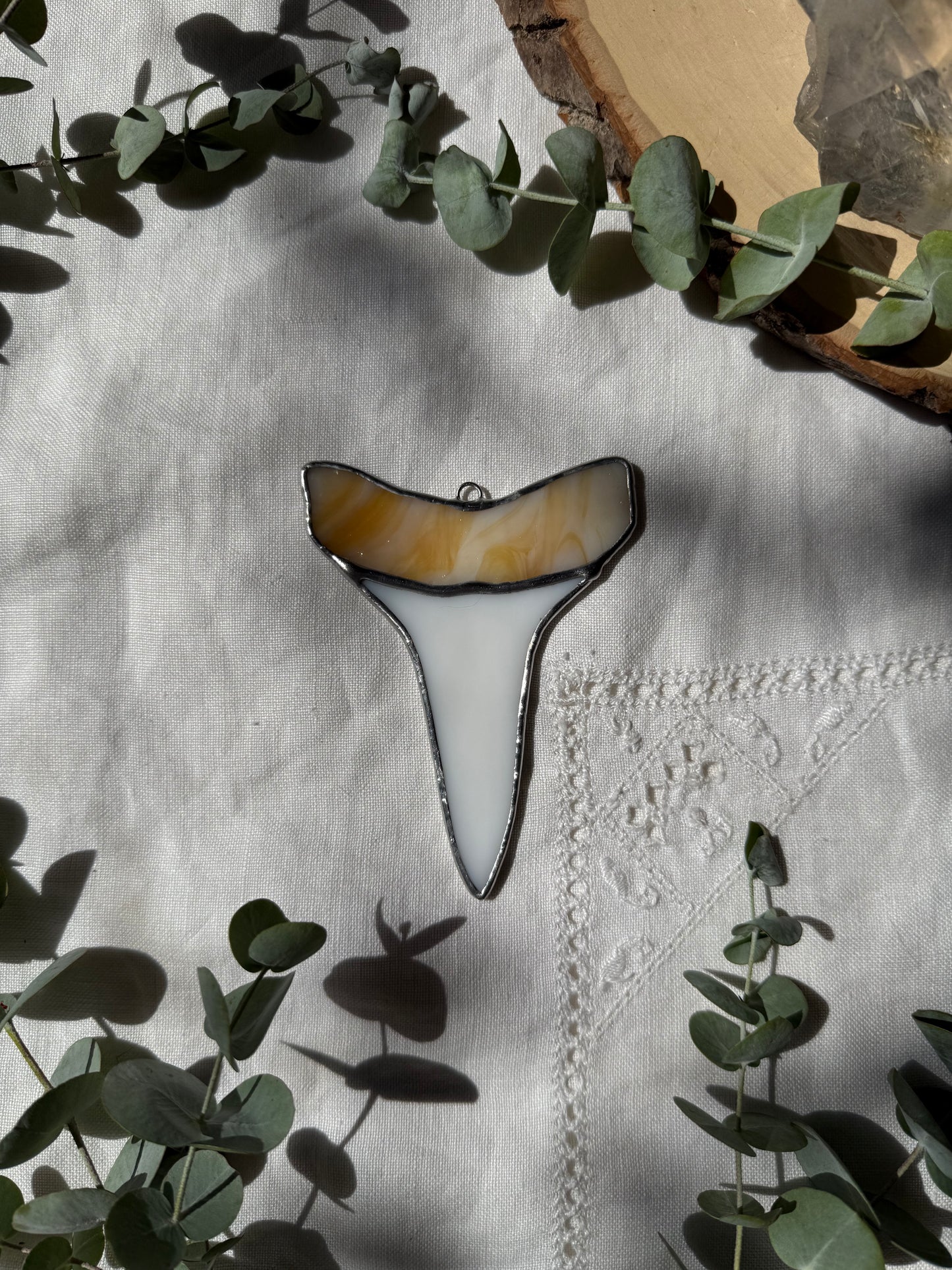 Mako Shark Tooth