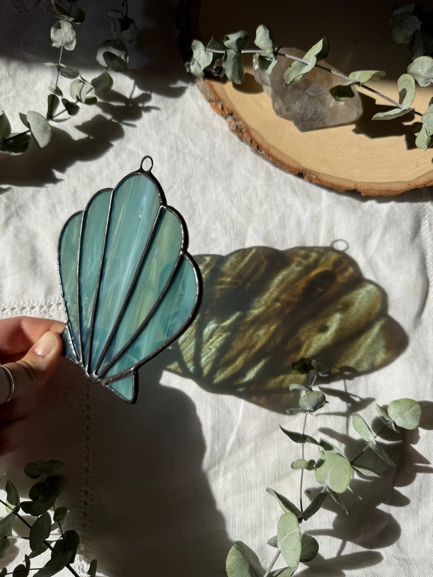 Iridescent Aqua Scallop Shell