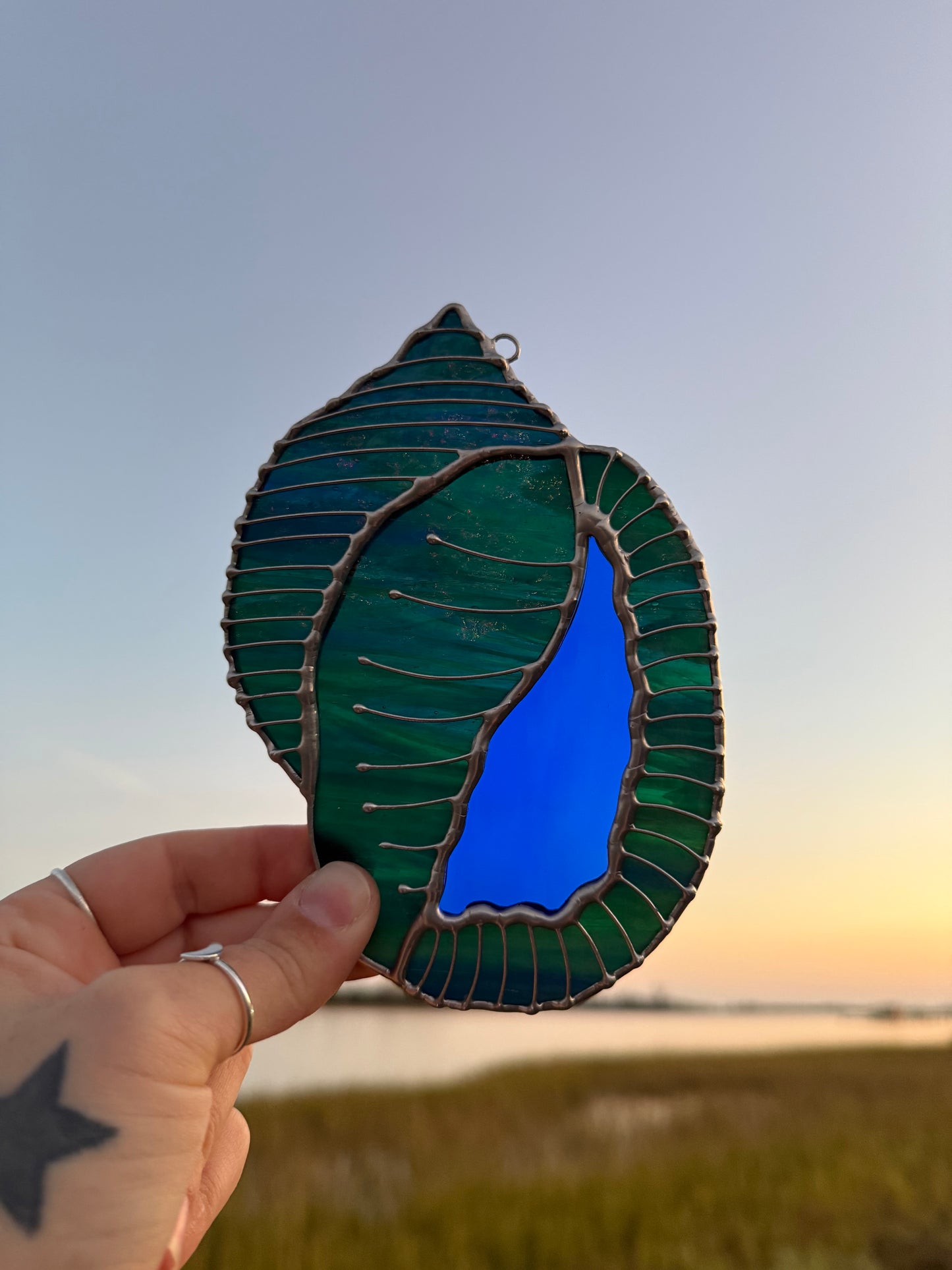 Blue-Green Scotch Bonnet Shell