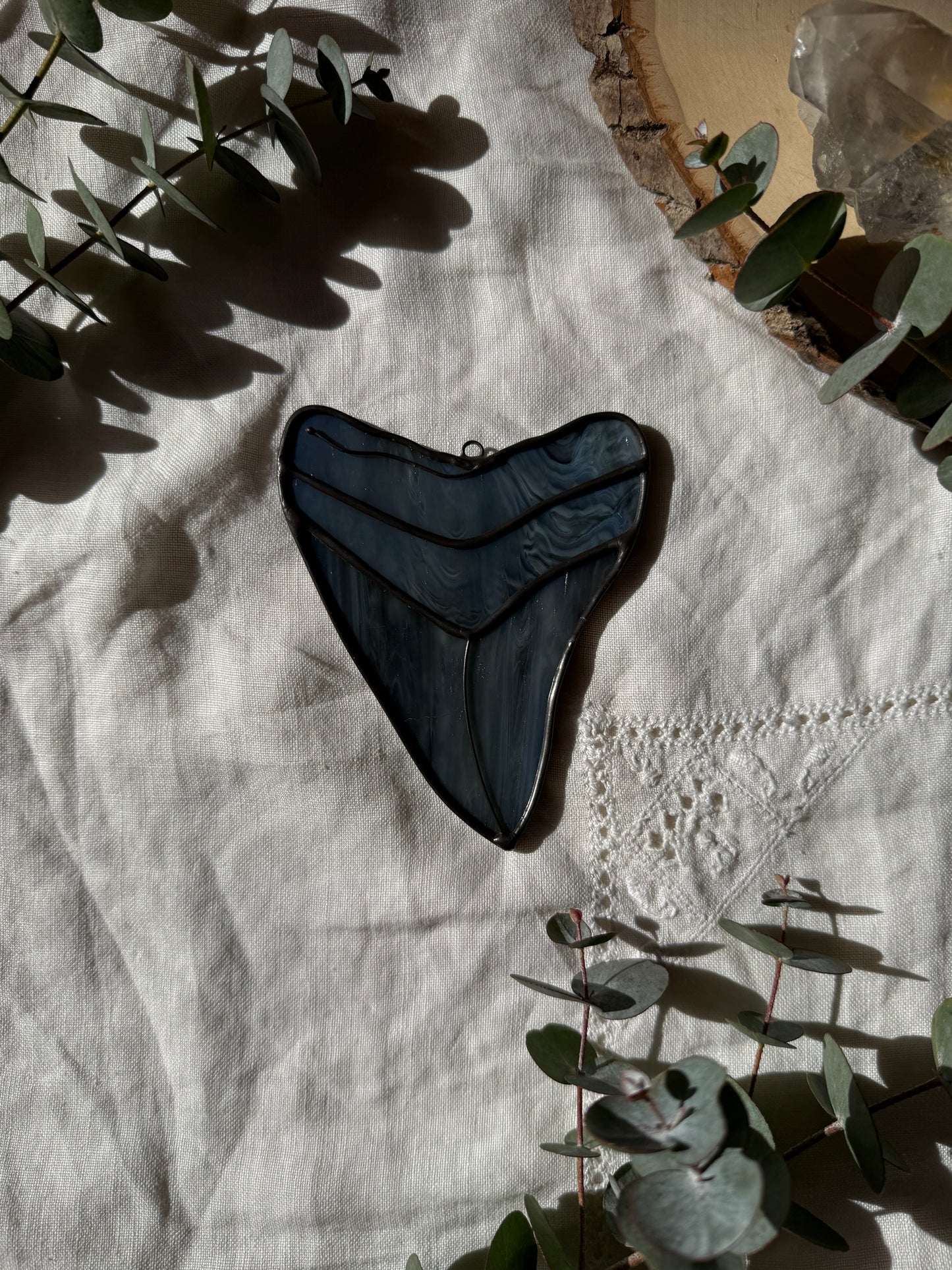 Megalodon Shark Tooth