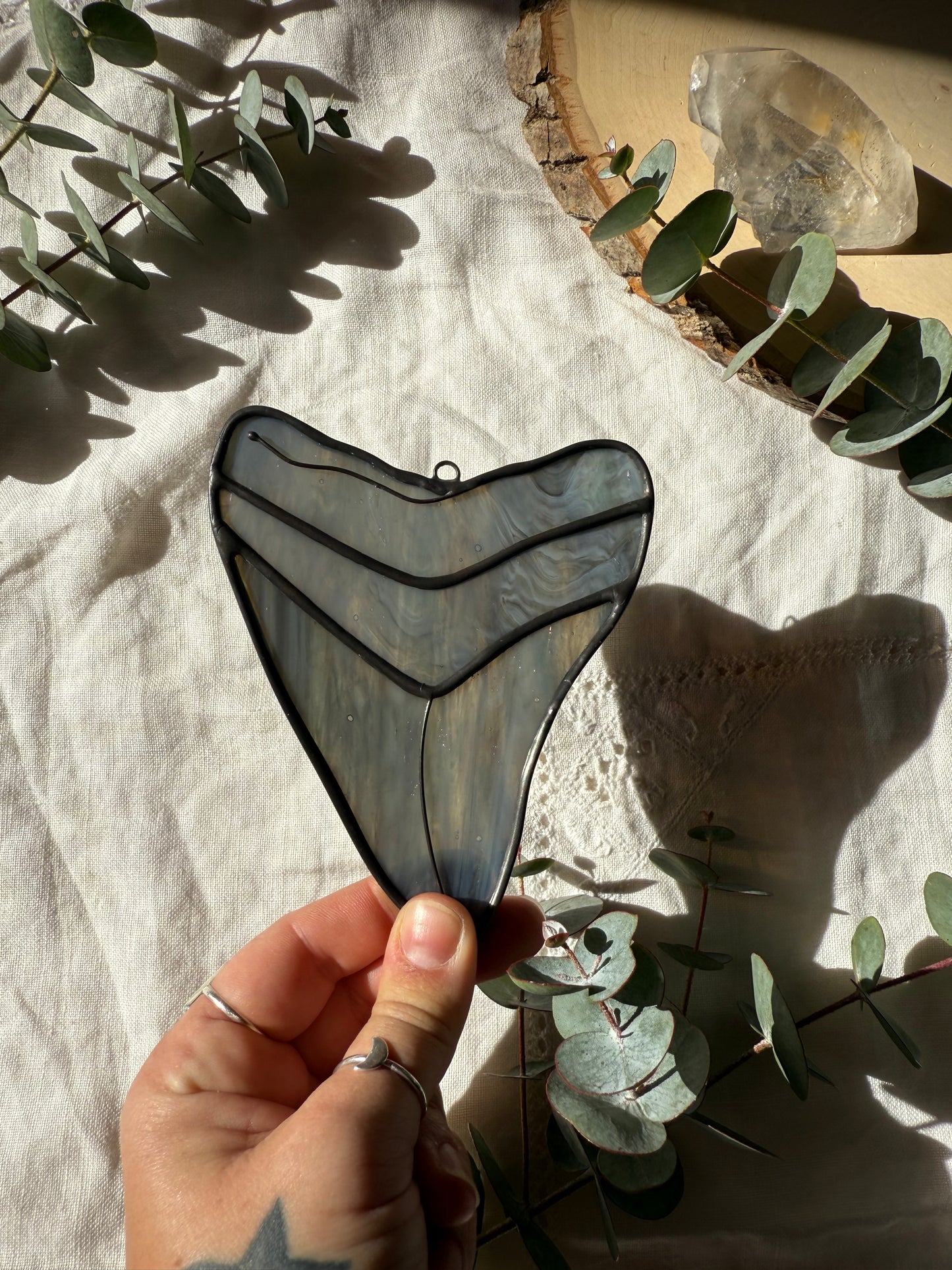 Megalodon Shark Tooth