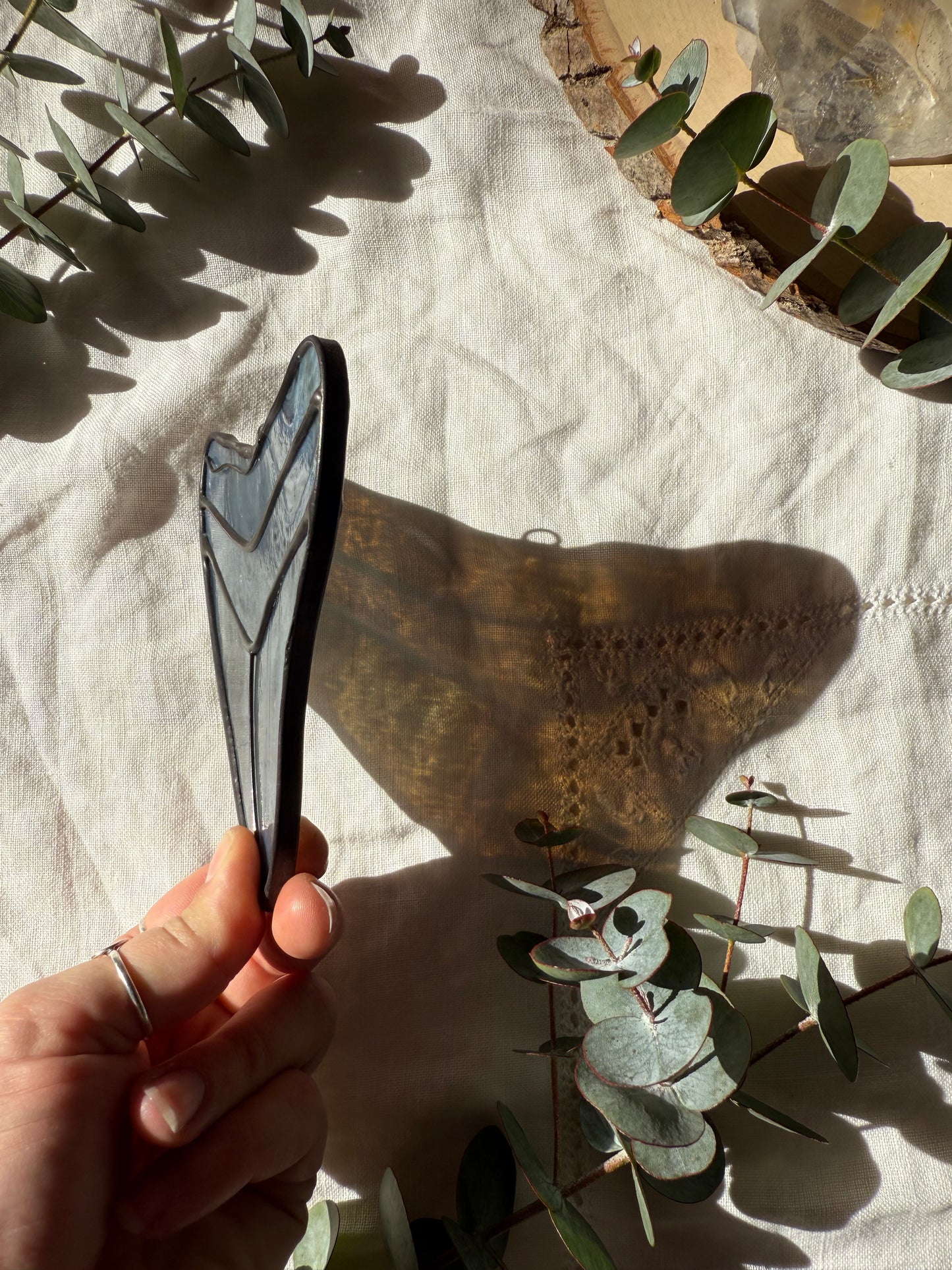 Megalodon Shark Tooth