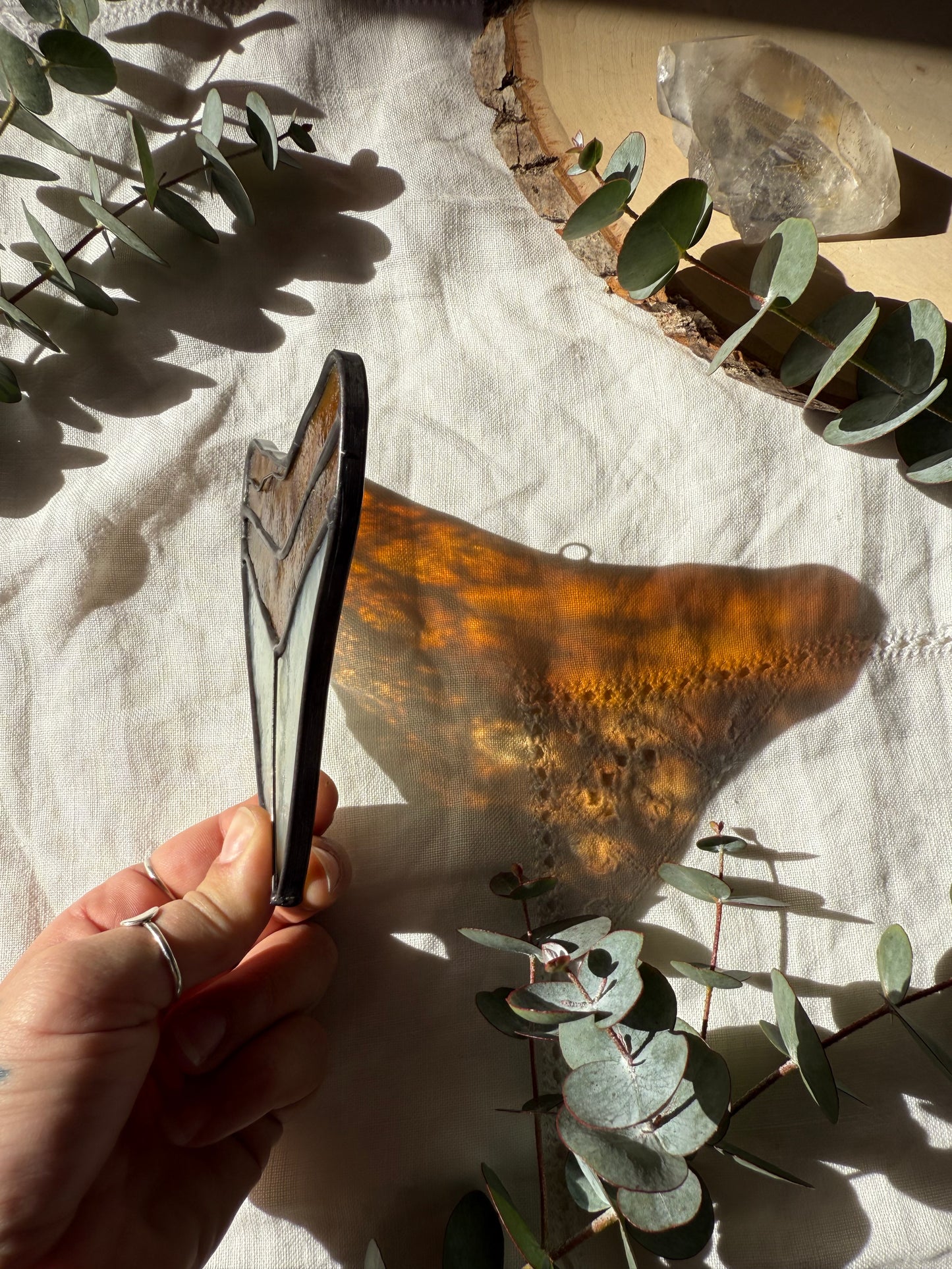 Megalodon Shark Tooth