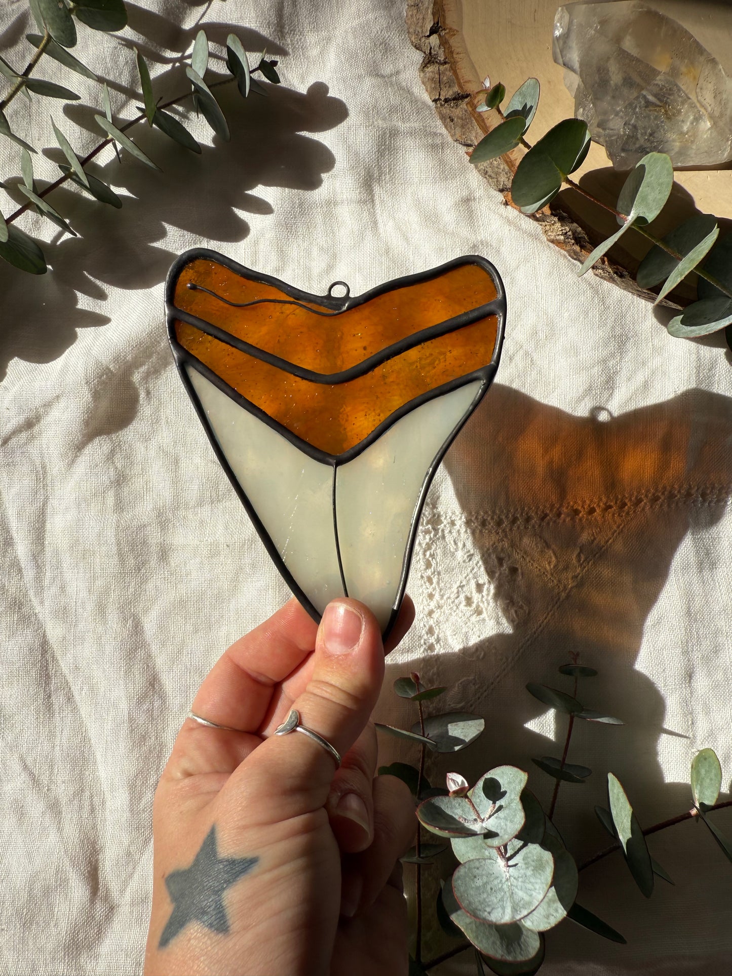 Megalodon Shark Tooth