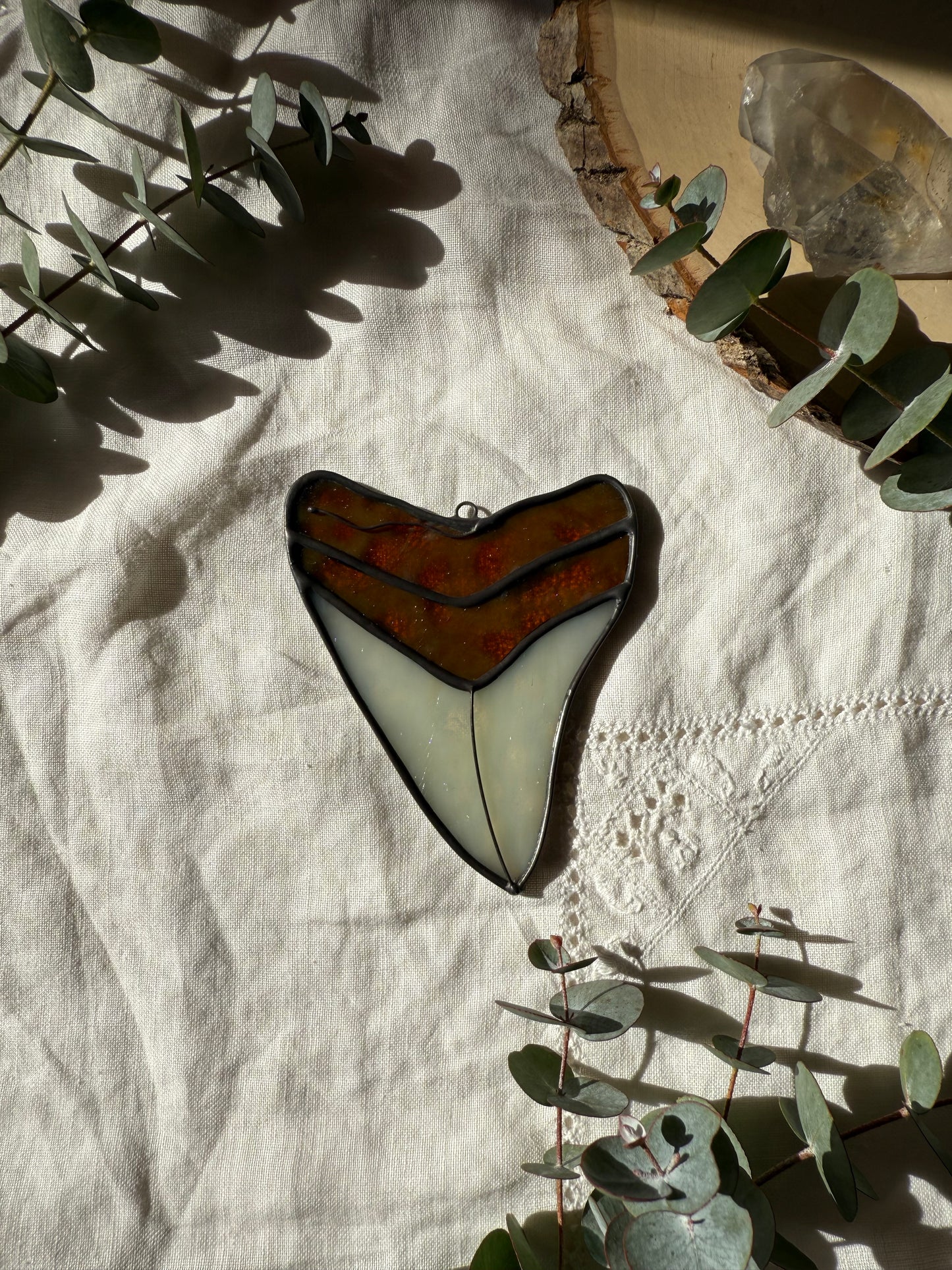 Megalodon Shark Tooth