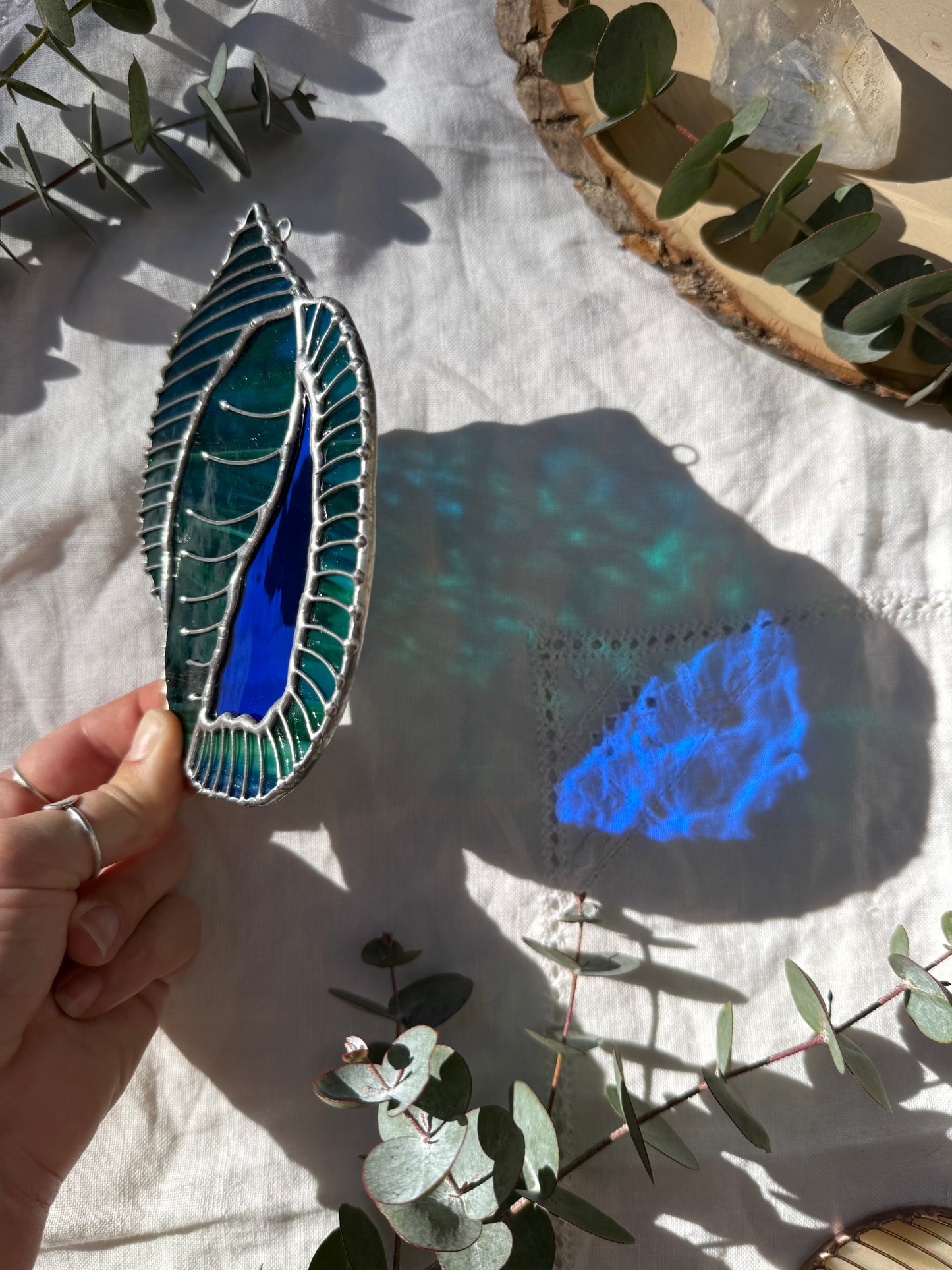 Blue-Green Scotch Bonnet Shell