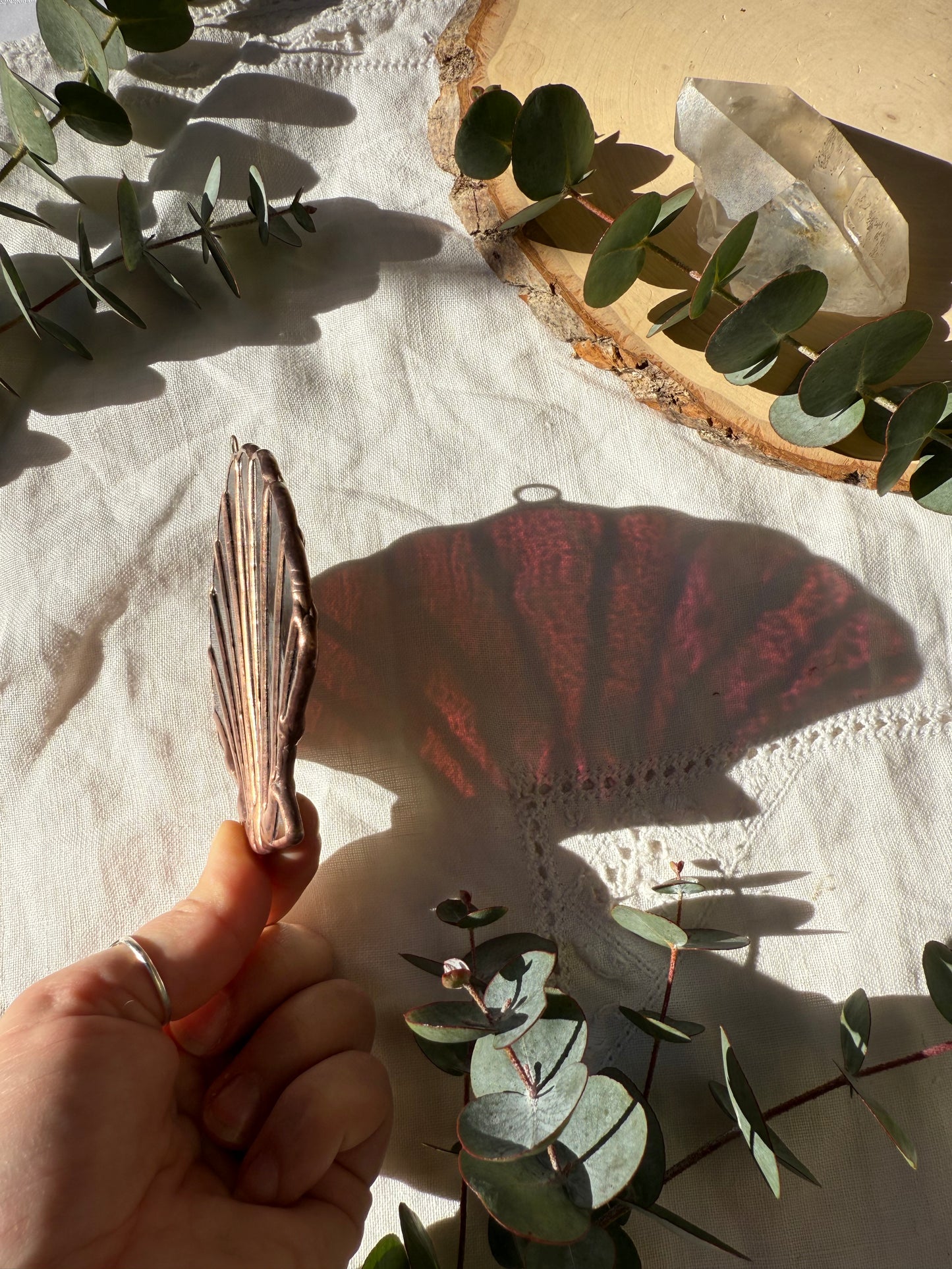 Magenta Scallop Shell