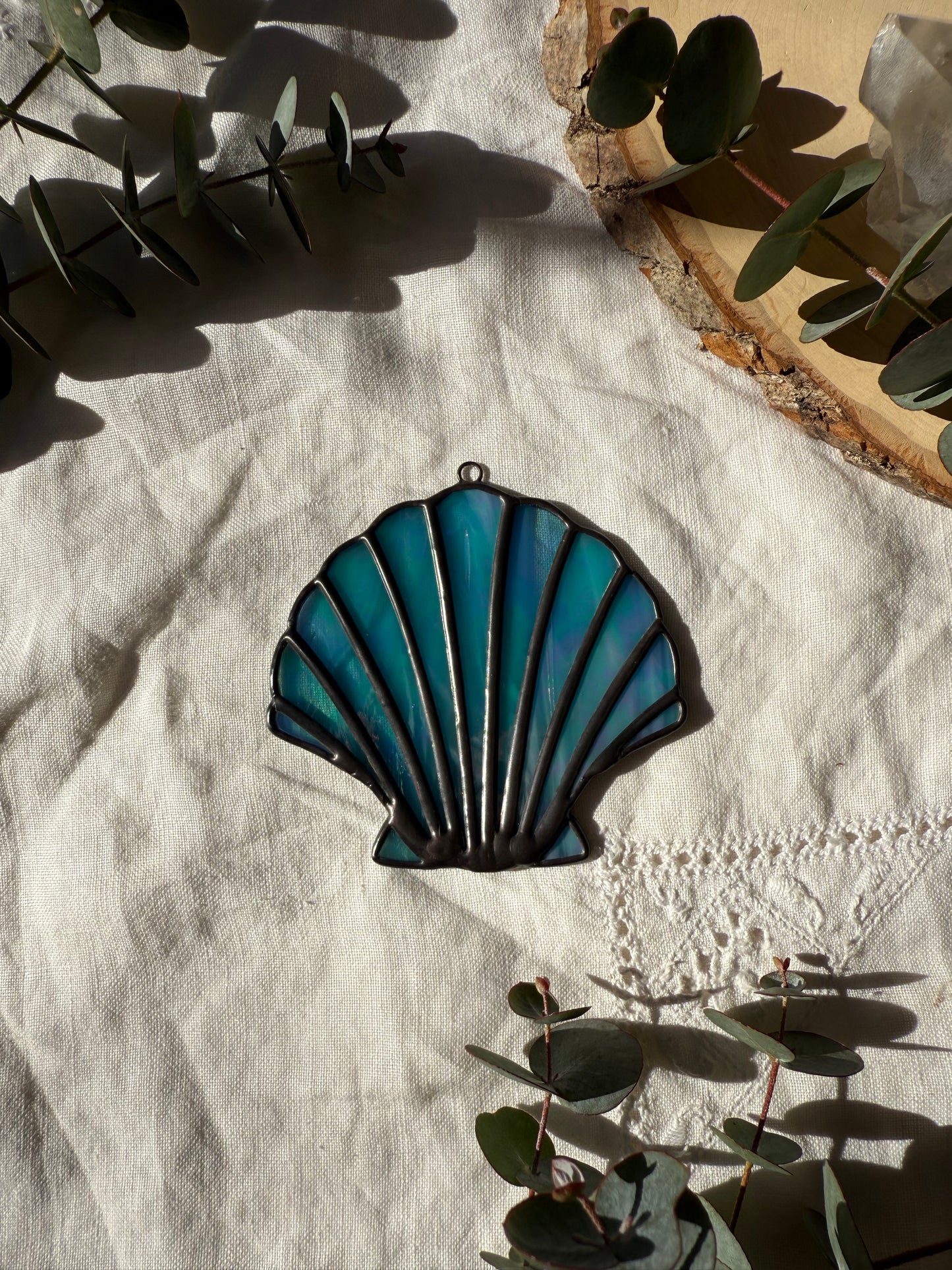 Iridescent Turquoise Scallop Shell
