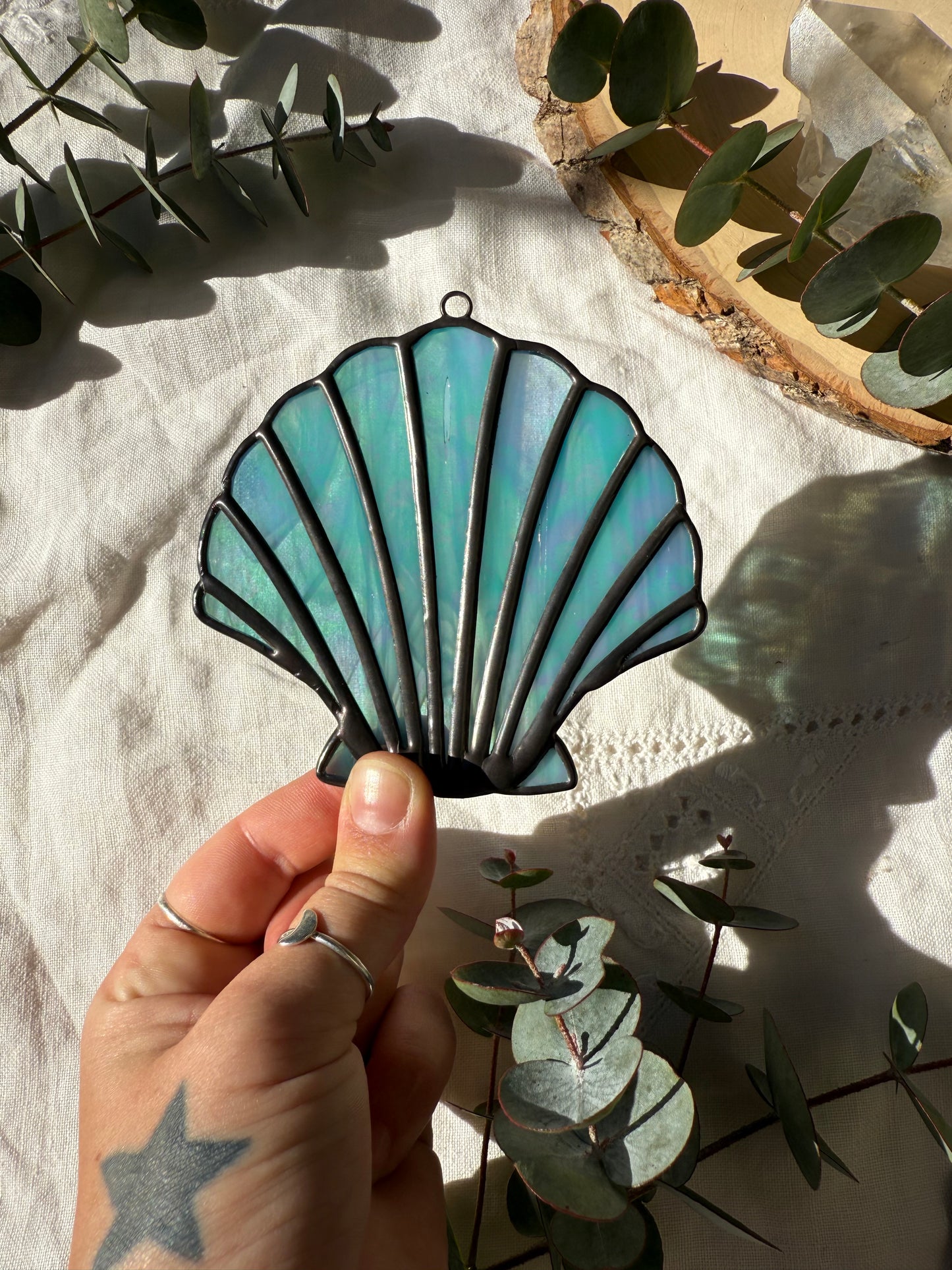 Iridescent Turquoise Scallop Shell