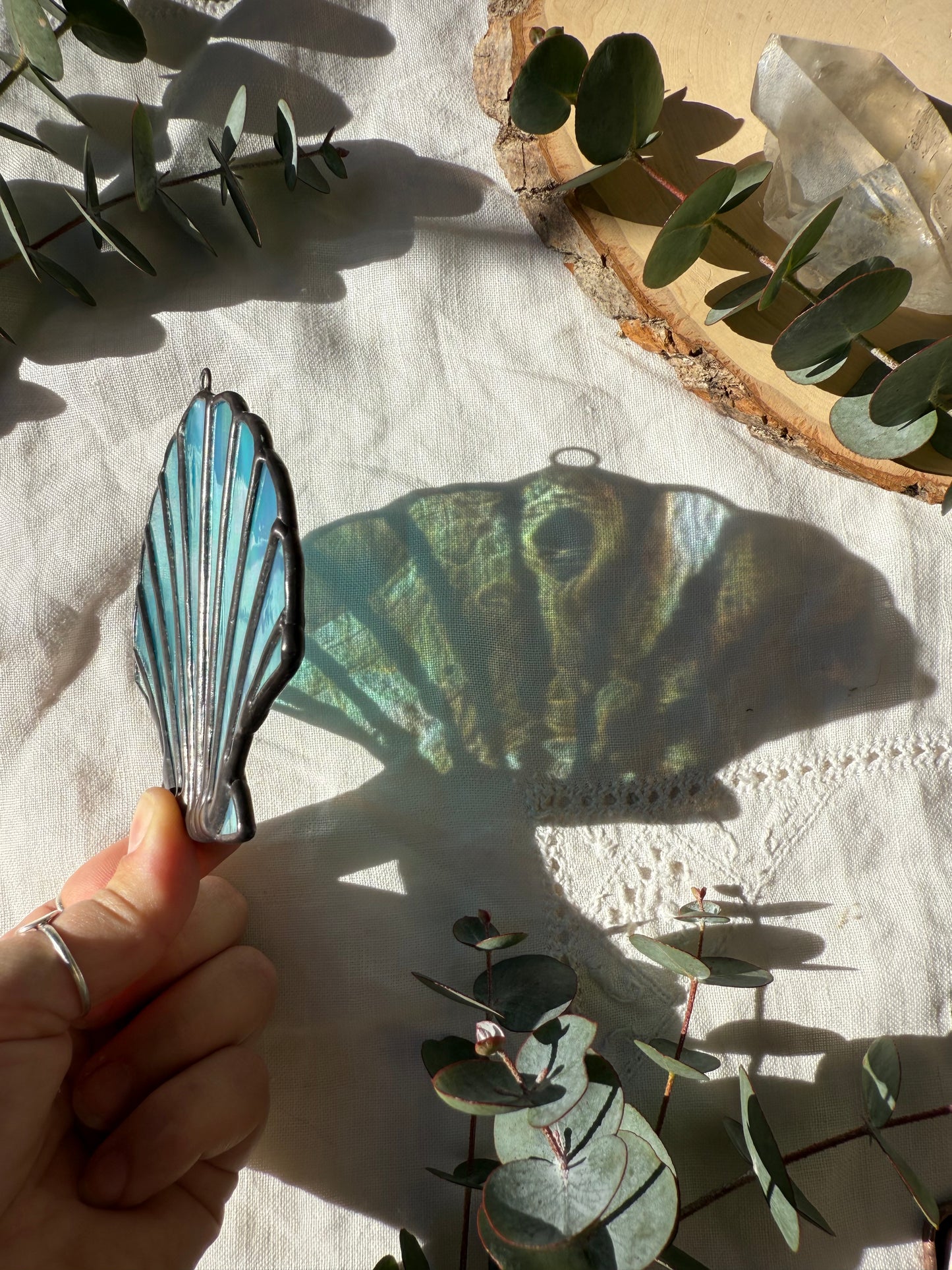 Iridescent Turquoise Scallop Shell