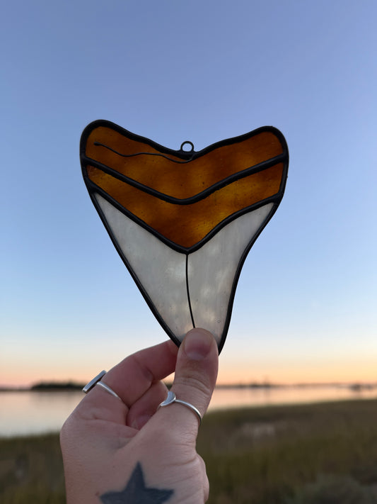 Megalodon Shark Tooth