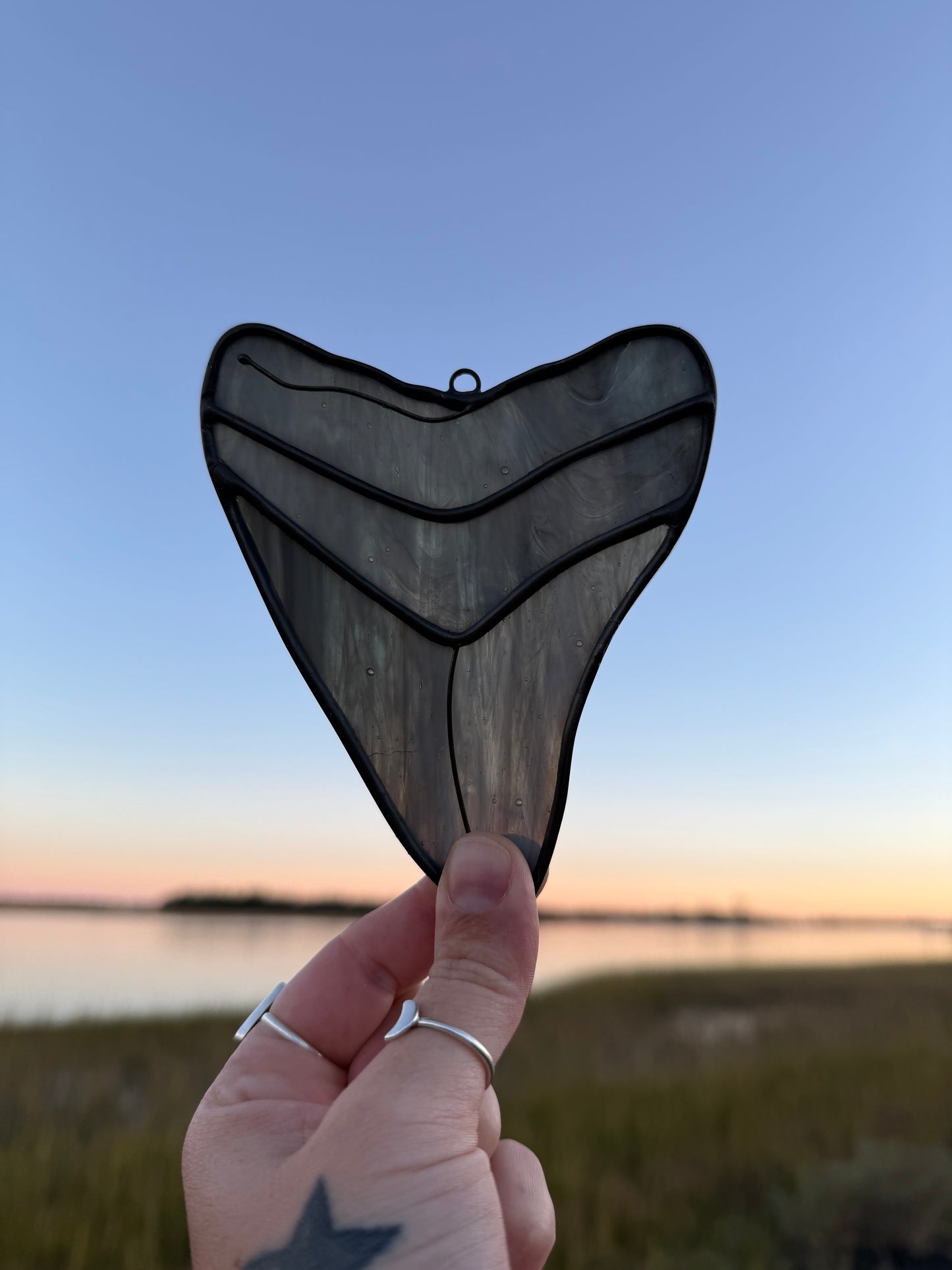 Megalodon Shark Tooth