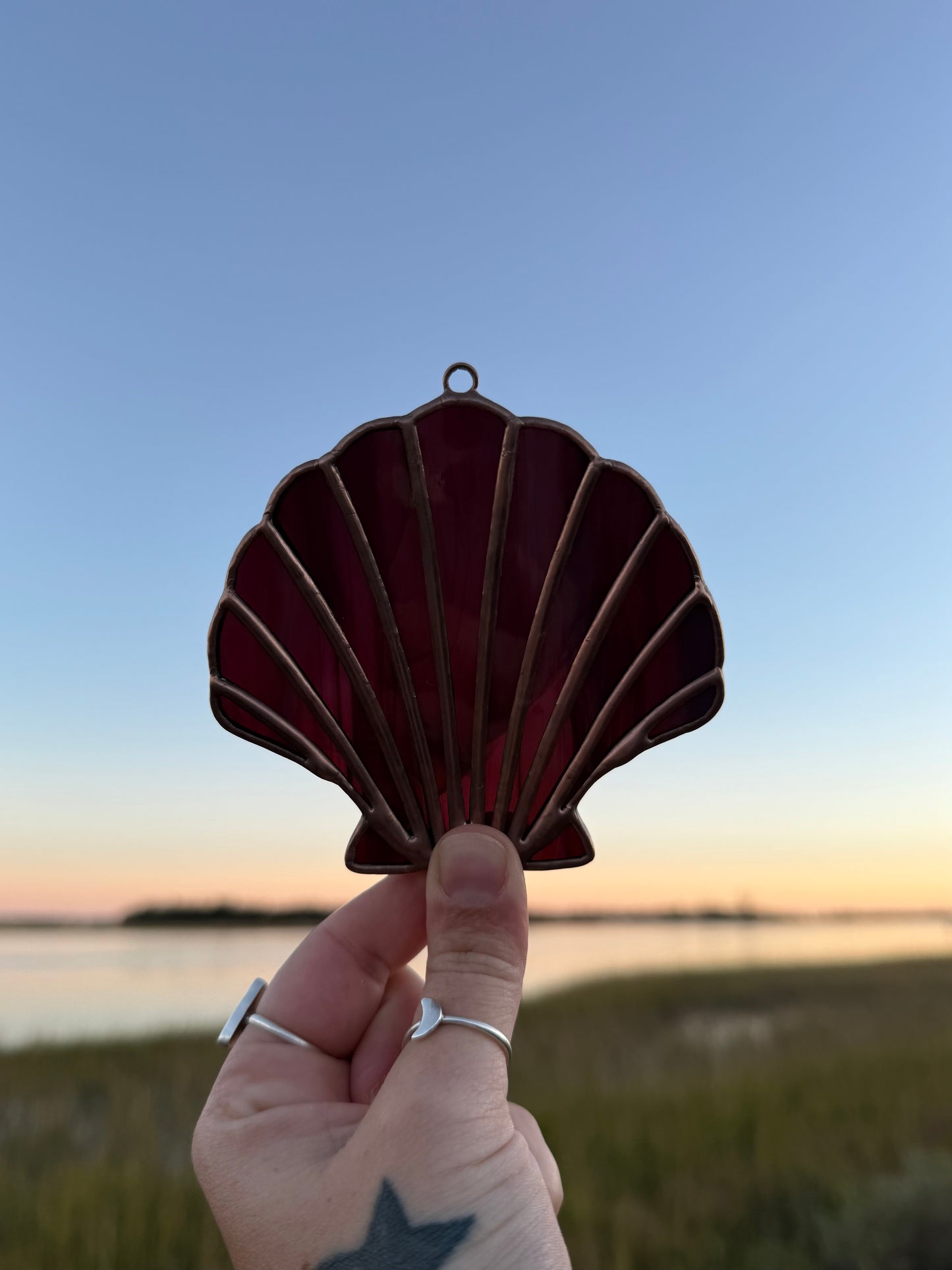 Magenta Scallop Shell