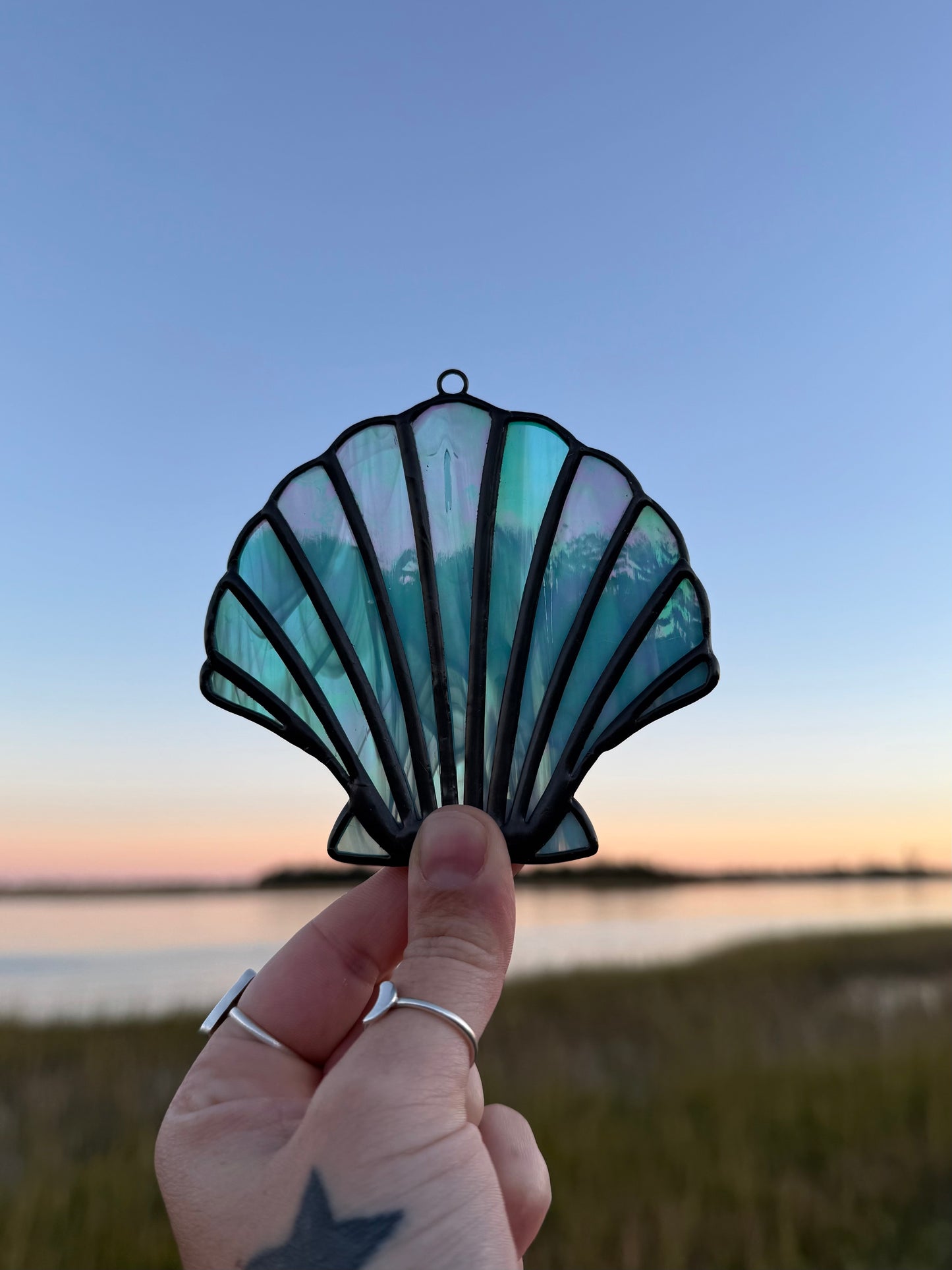 Iridescent Turquoise Scallop Shell