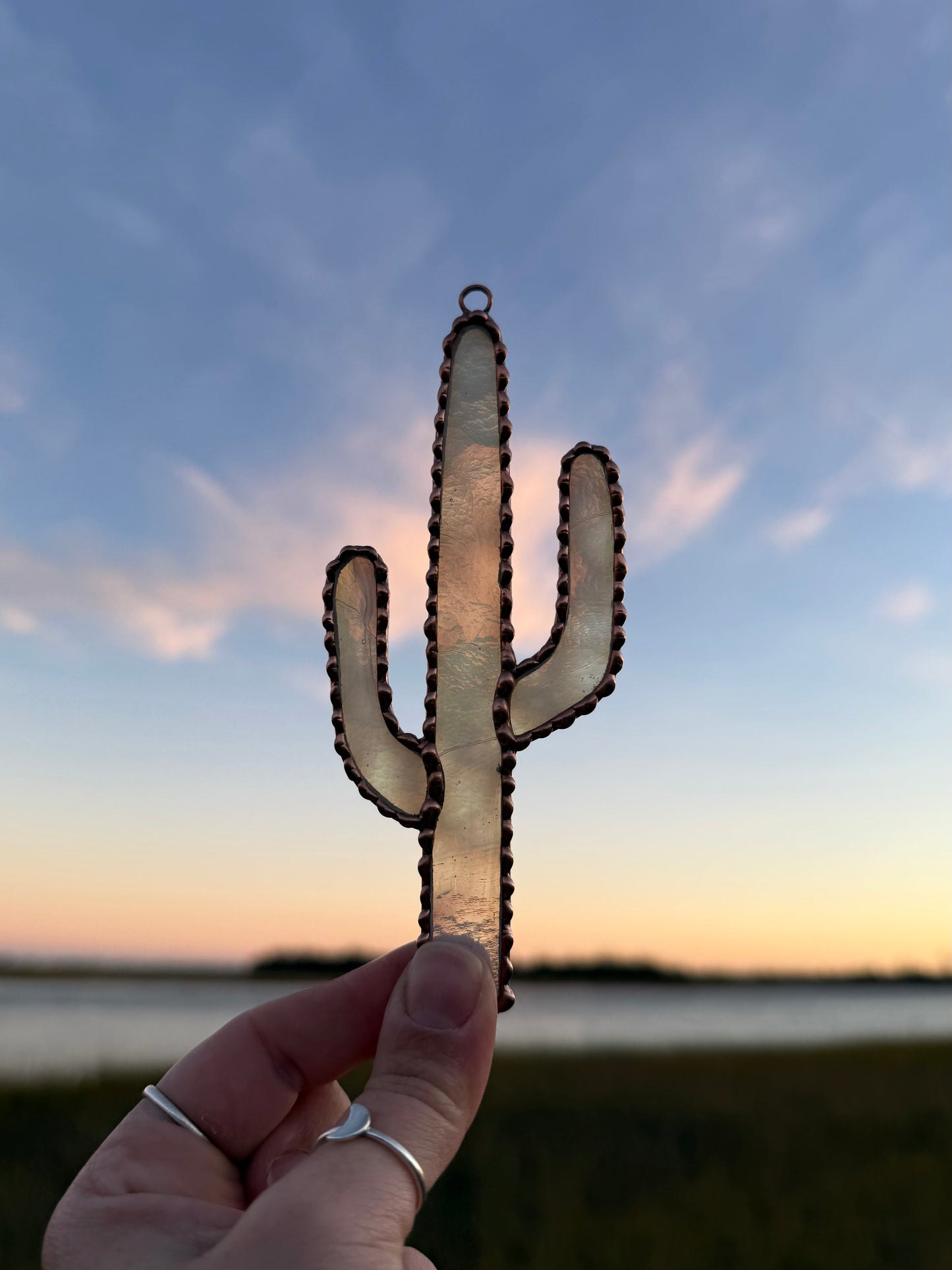 Saguaro Cactus