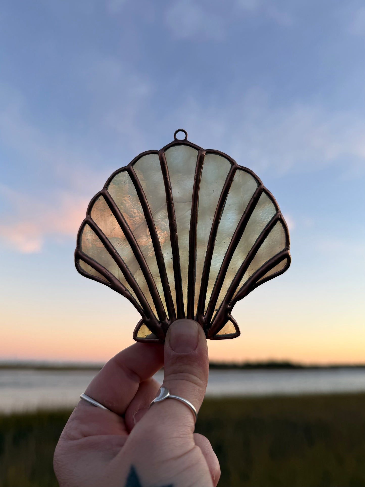 Pale Green Scallop Shell