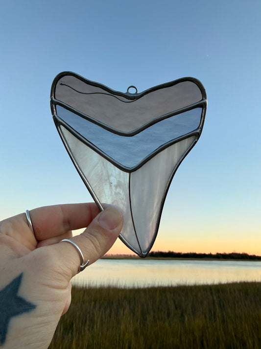 Megalodon Shark Tooth