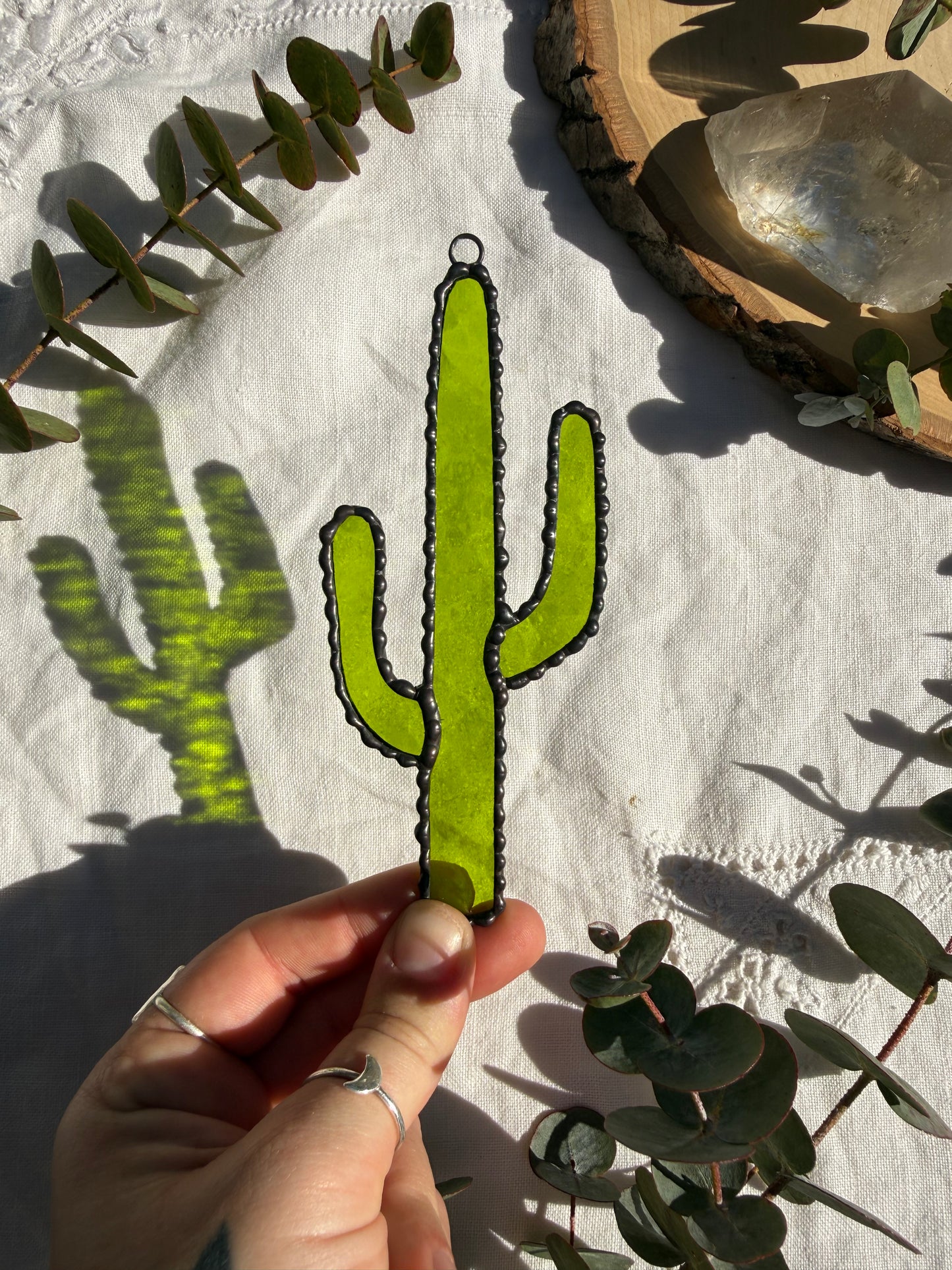 Saguaro Cactus