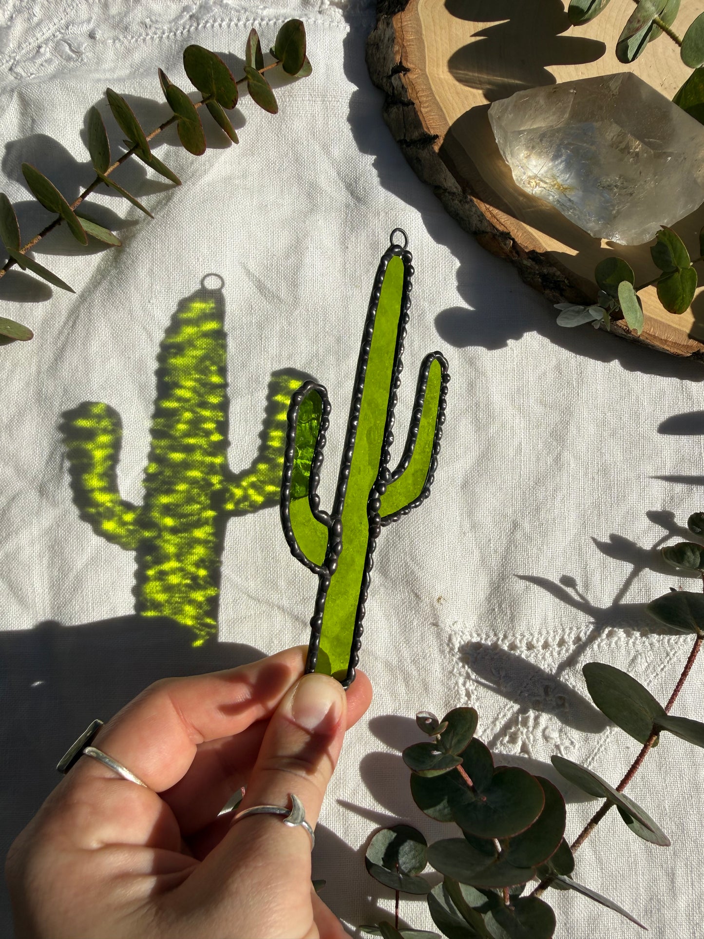 Saguaro Cactus