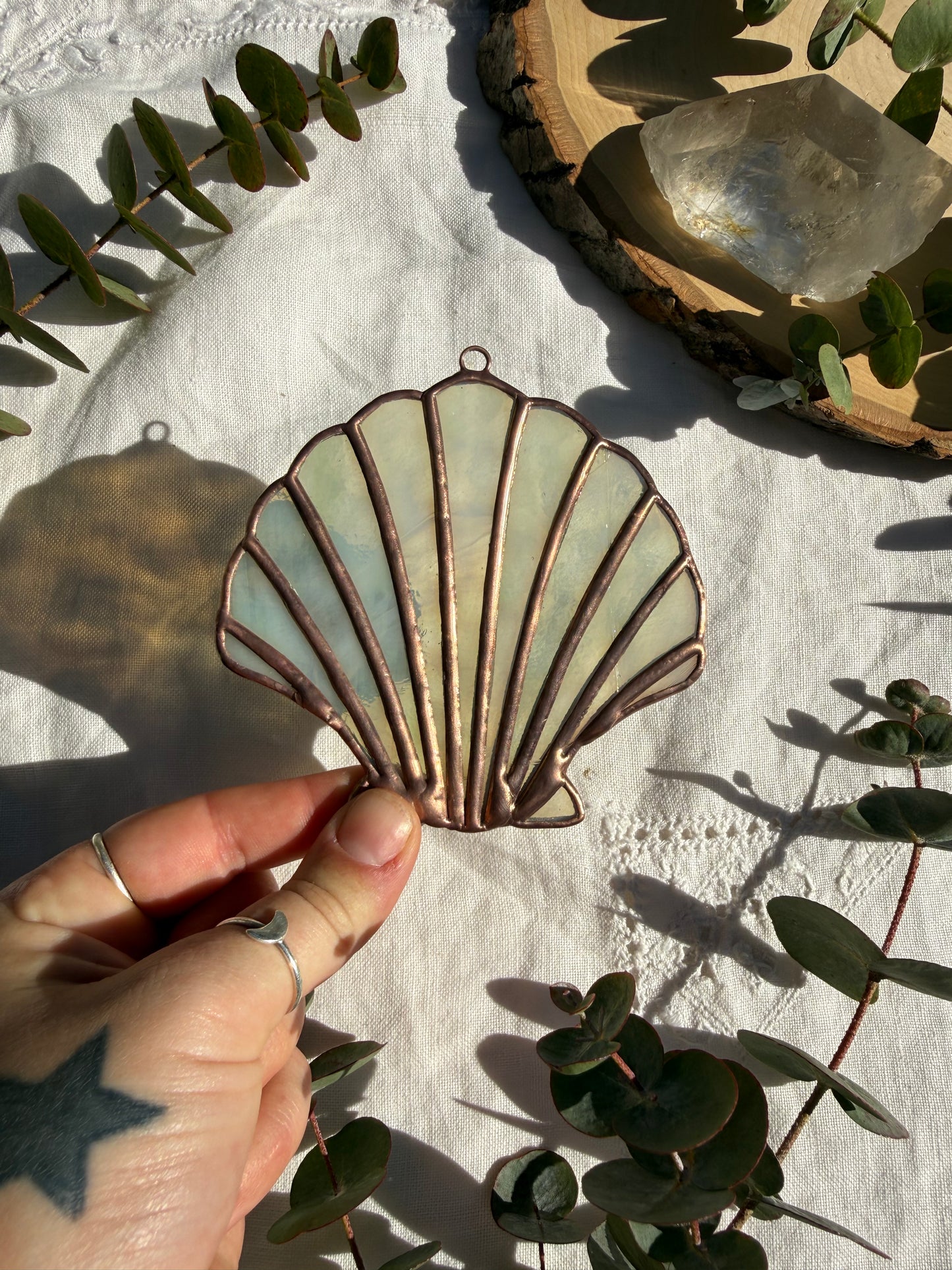 Pale Green Scallop Shell