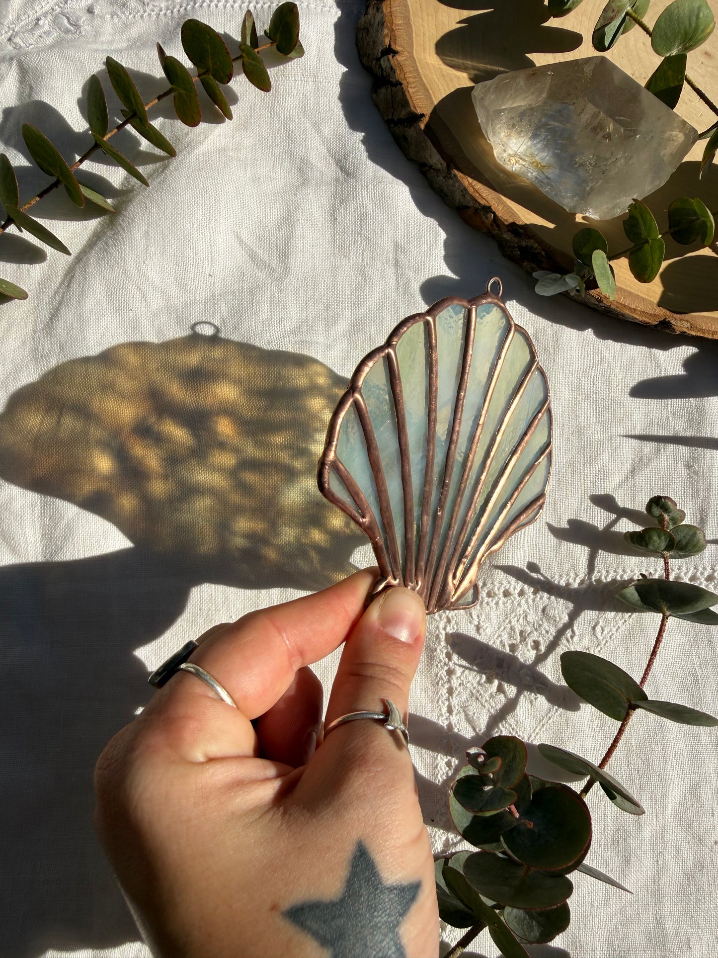 Pale Green Scallop Shell