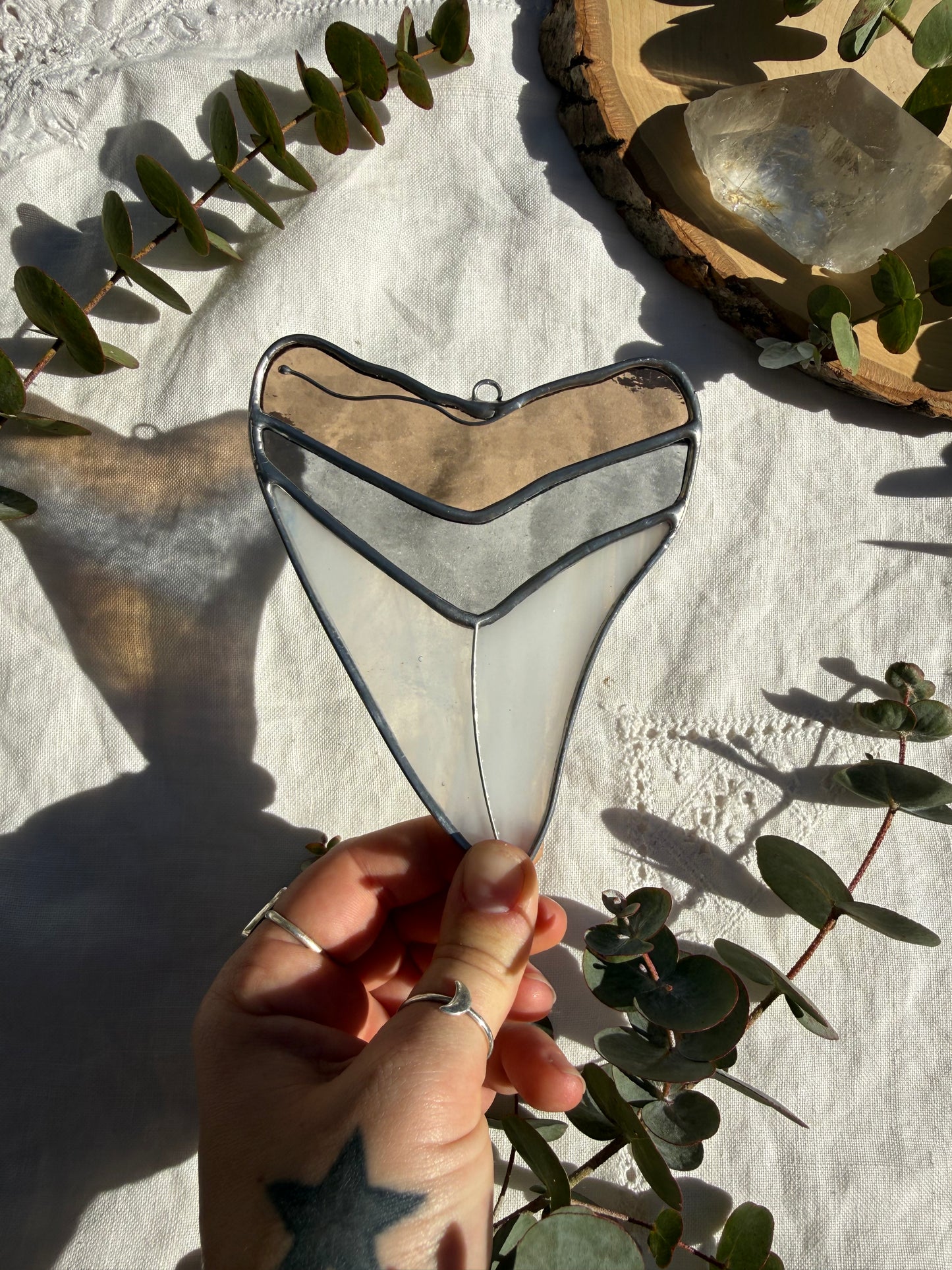 Megalodon Shark Tooth