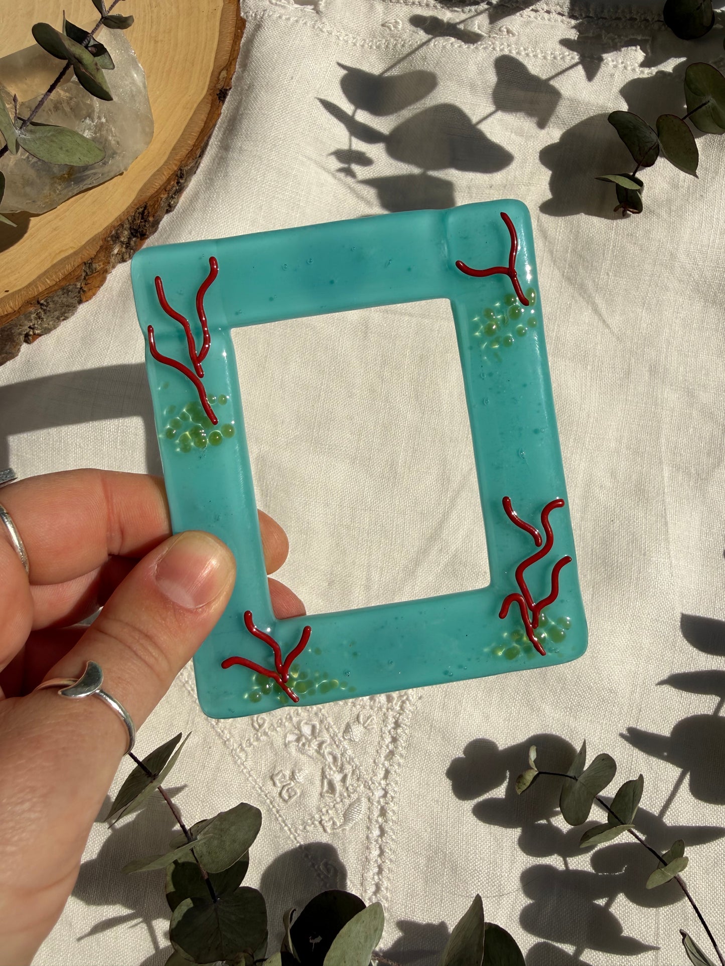 Turquiose Coral Frame