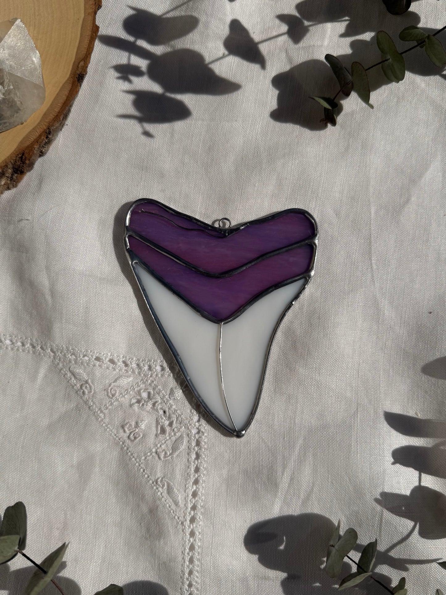 Megalodon Shark Tooth