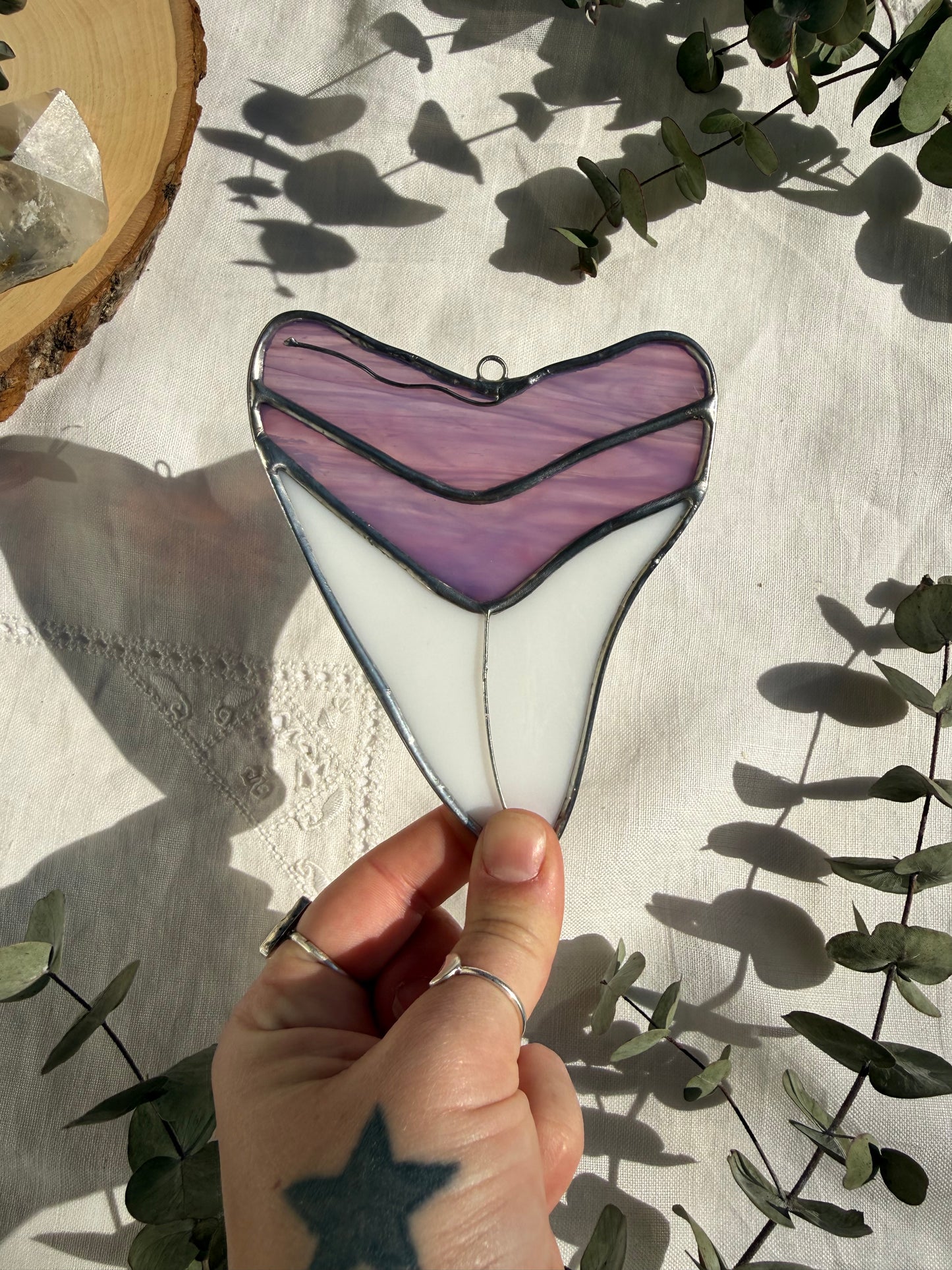 Megalodon Shark Tooth