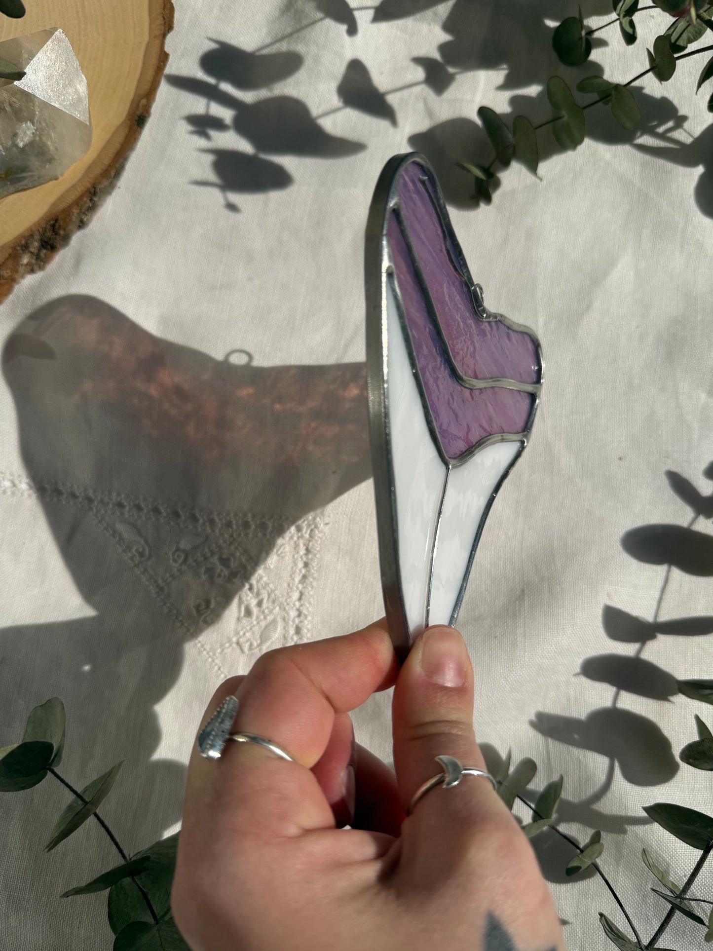 Megalodon Shark Tooth