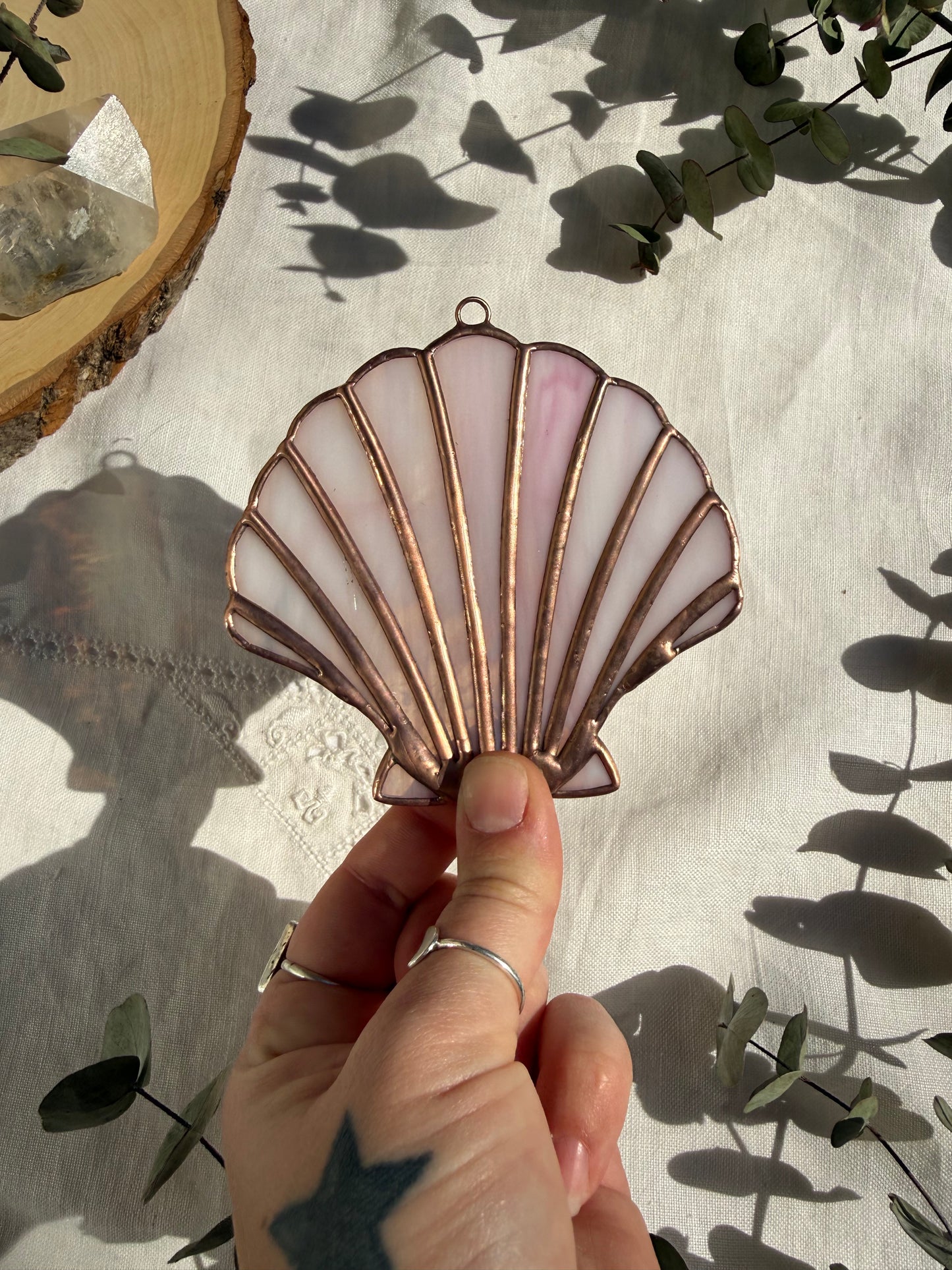 Pale Pink Scallop Shell