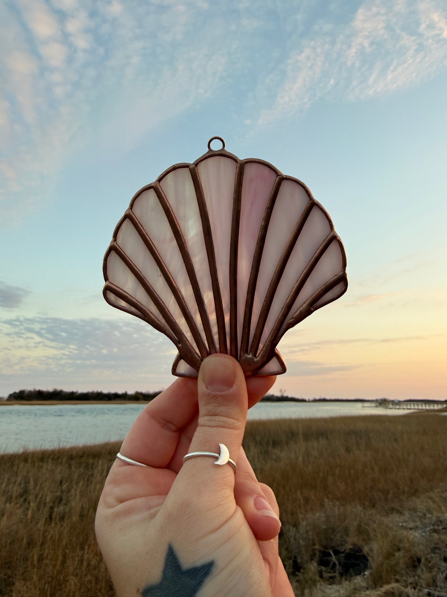 Pale Pink Scallop Shell