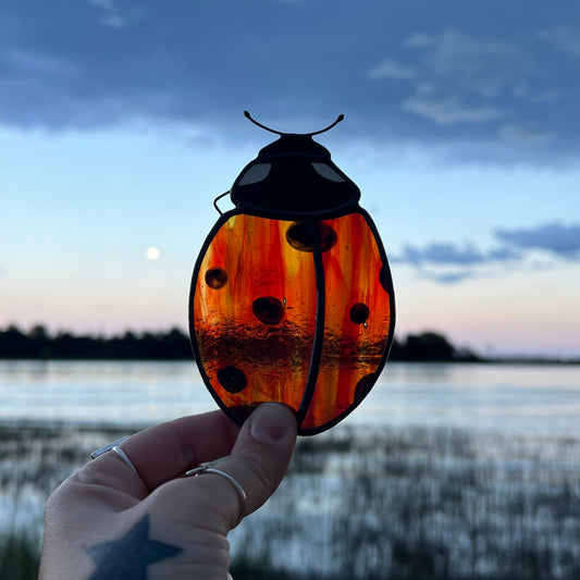 Wispy Red Ladybug