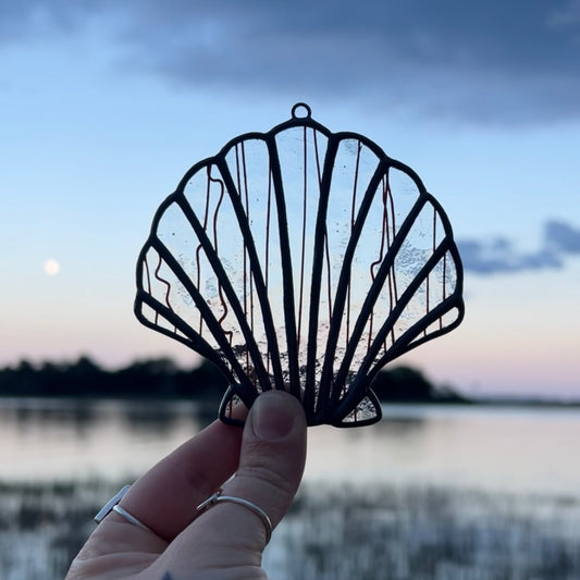 Streaky Orange Scallop Shell