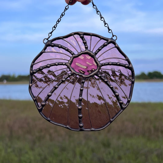 Pink Sea Urchin
