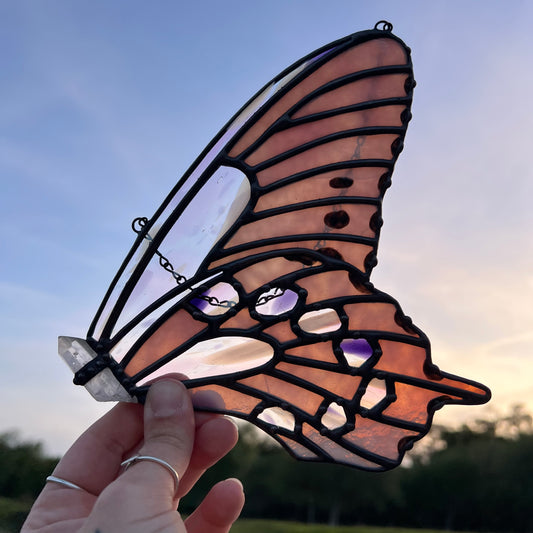 Pink Butterfly Wing