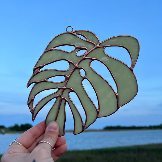 Monstera Leaf